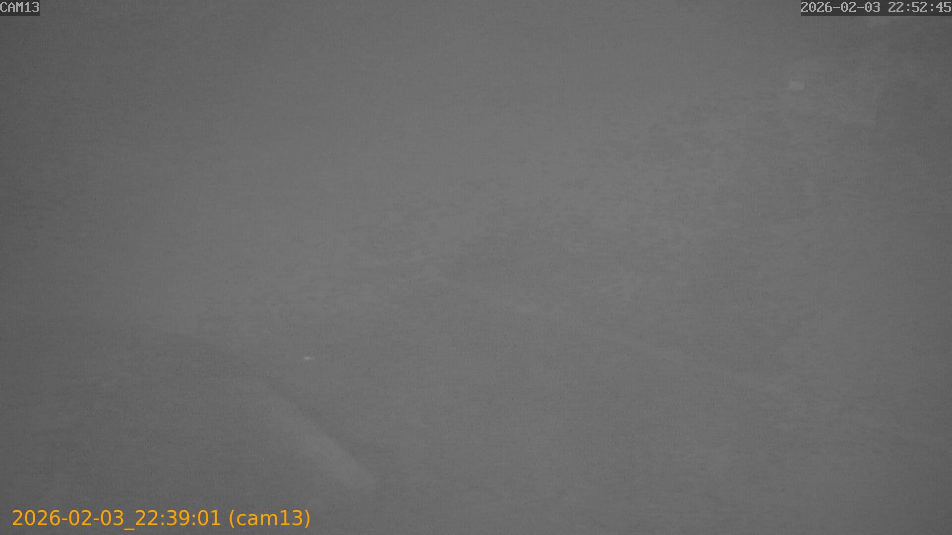 thumbnail_20260203223901