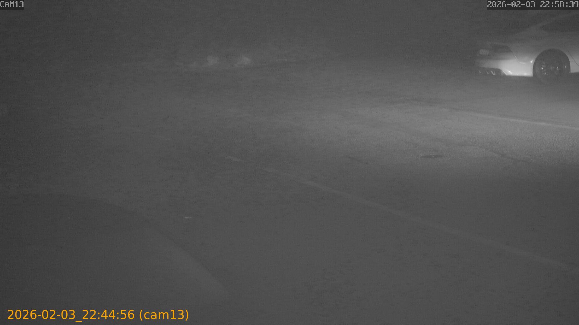 thumbnail_20260203224456