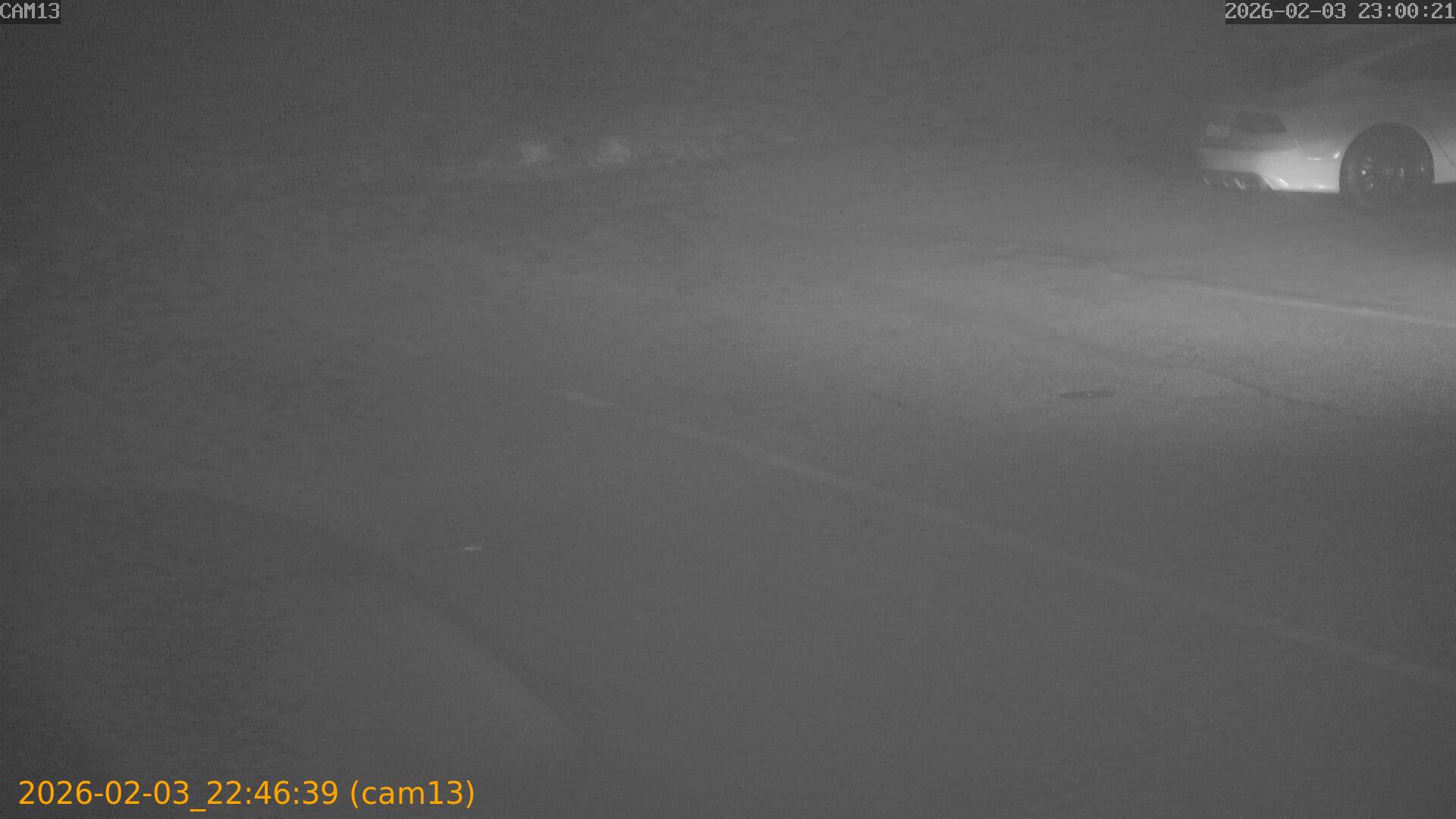 thumbnail_20260203224639