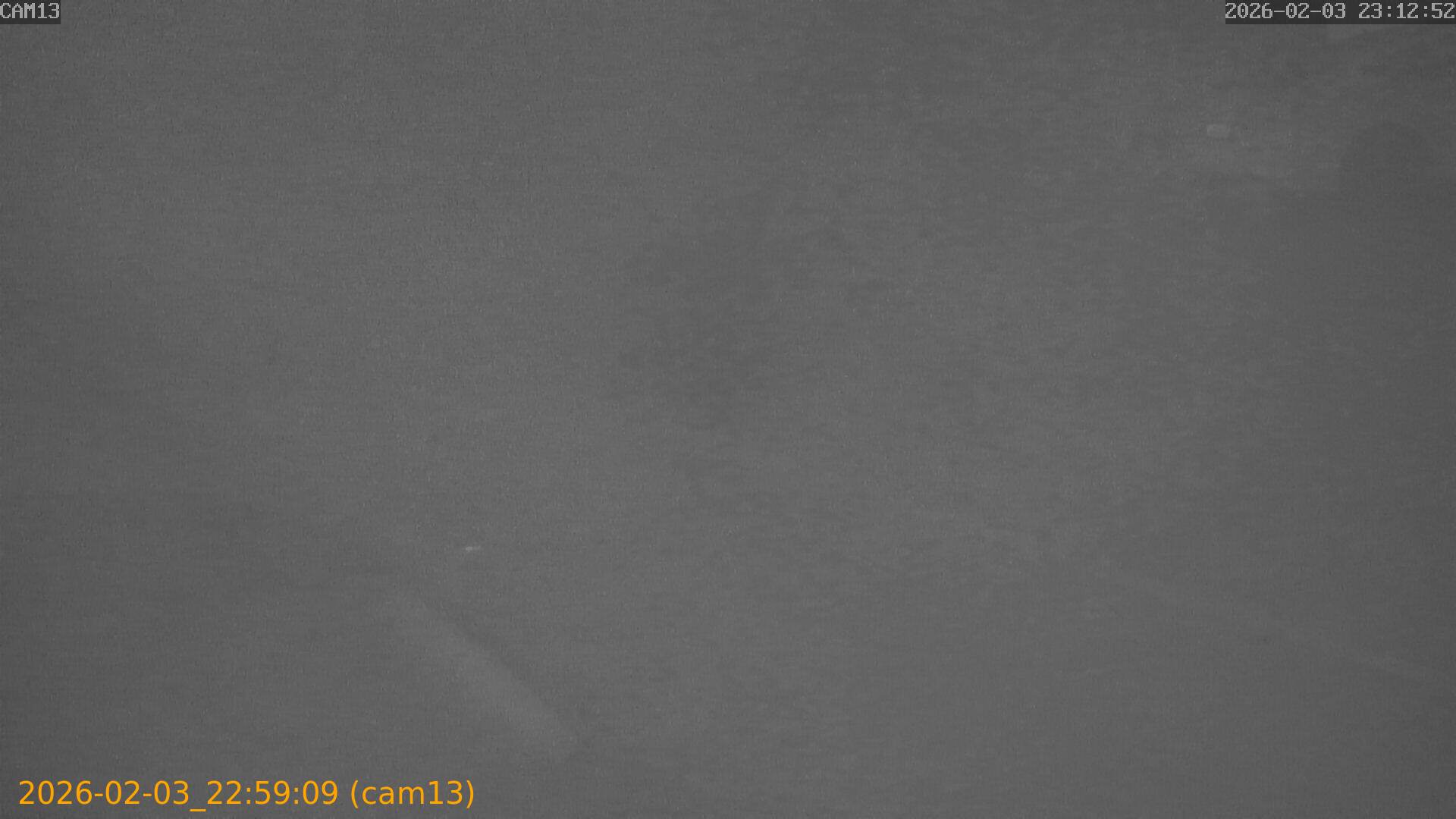 thumbnail_20260203225909