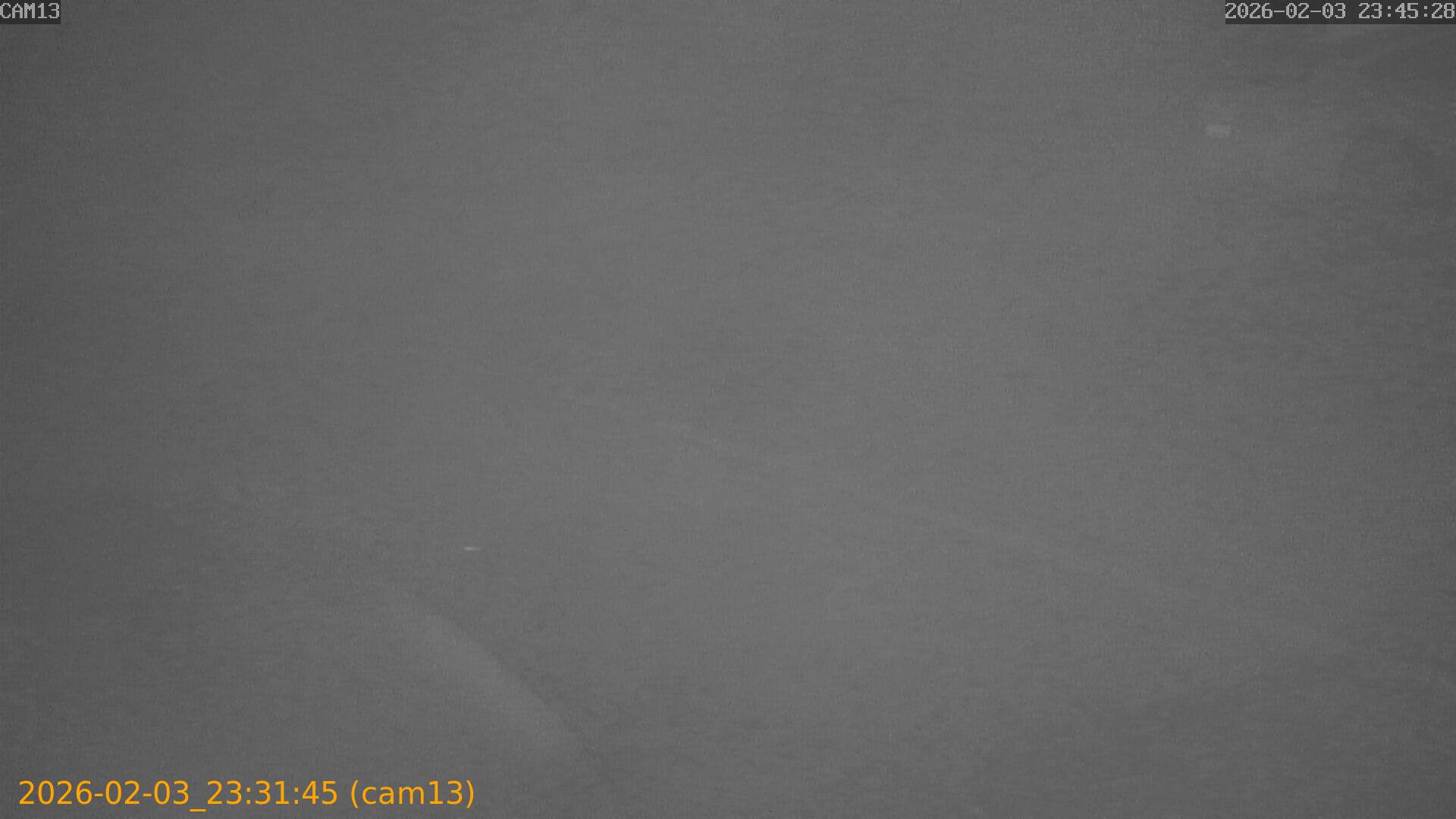 thumbnail_20260203233145