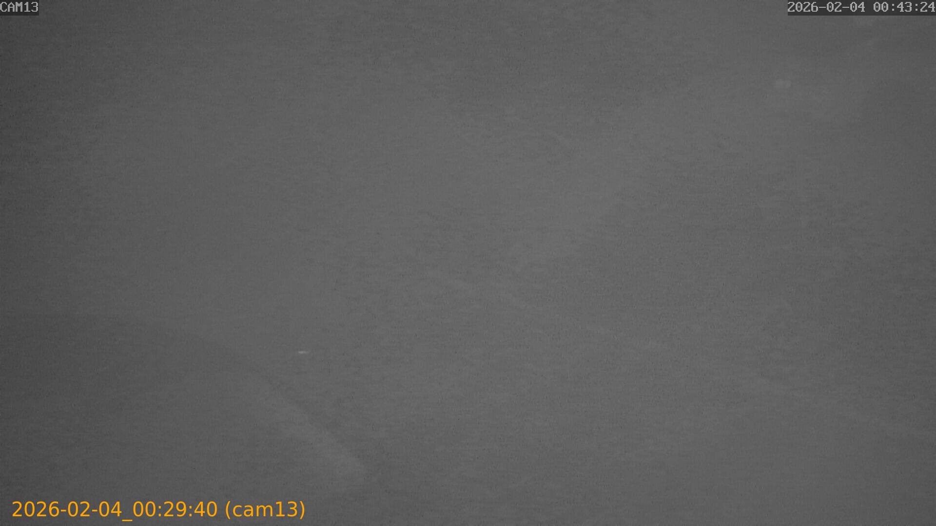 thumbnail_20260204002940