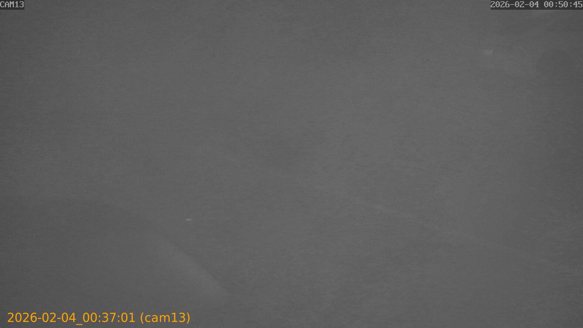 thumbnail_20260204003701