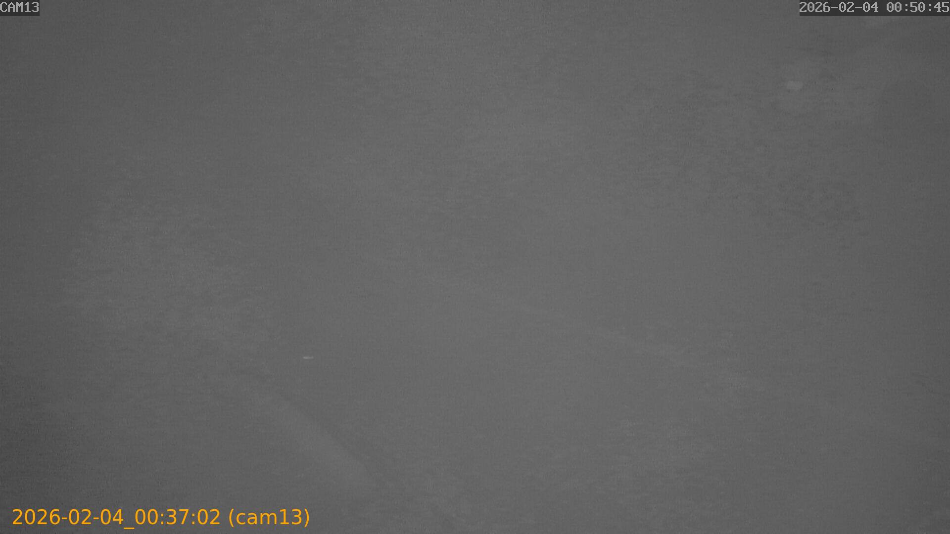 thumbnail_20260204003702