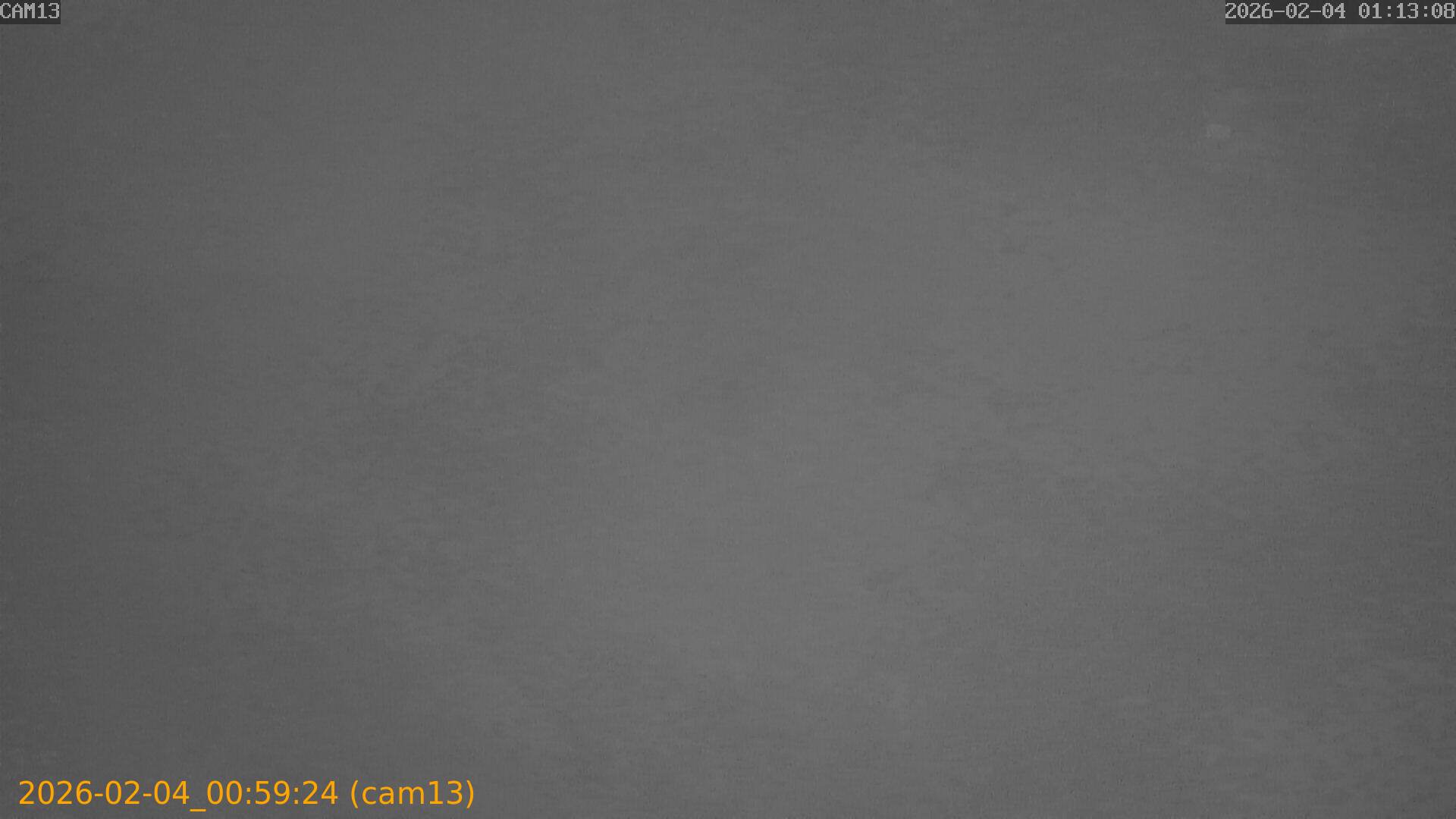 thumbnail_20260204005924