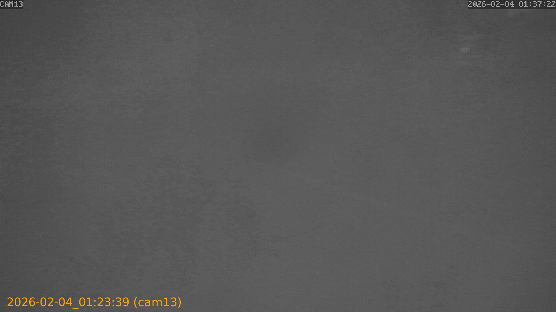 thumbnail_20260204012339