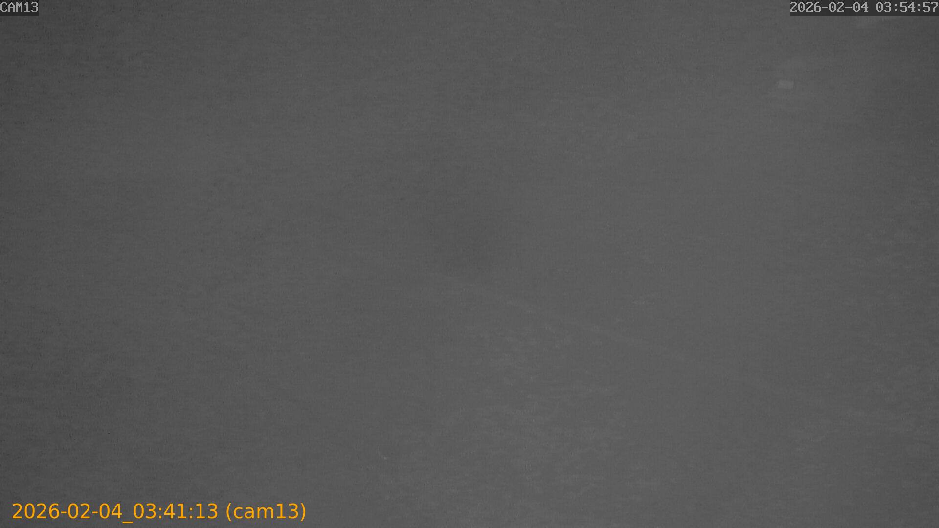 thumbnail_20260204034113