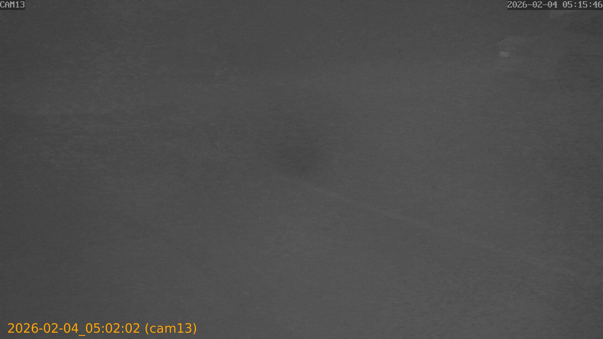 thumbnail_20260204050202