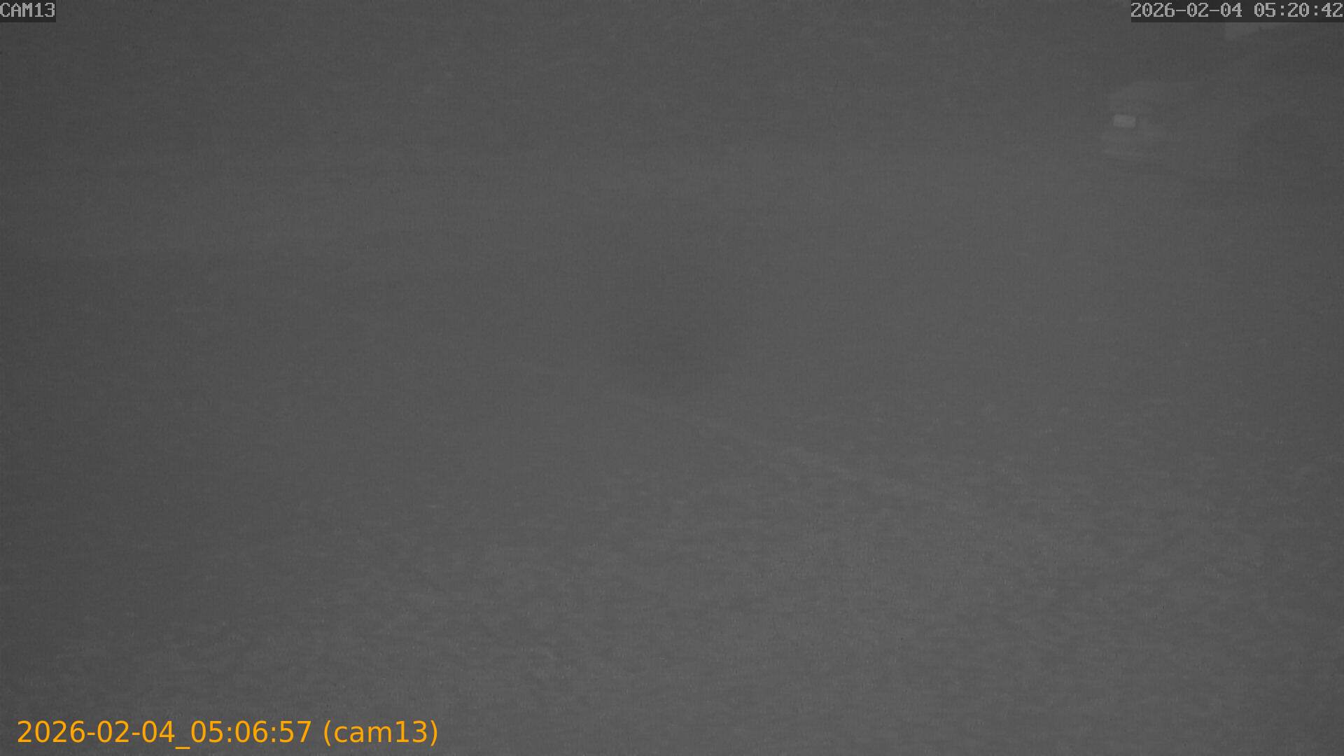 thumbnail_20260204050657