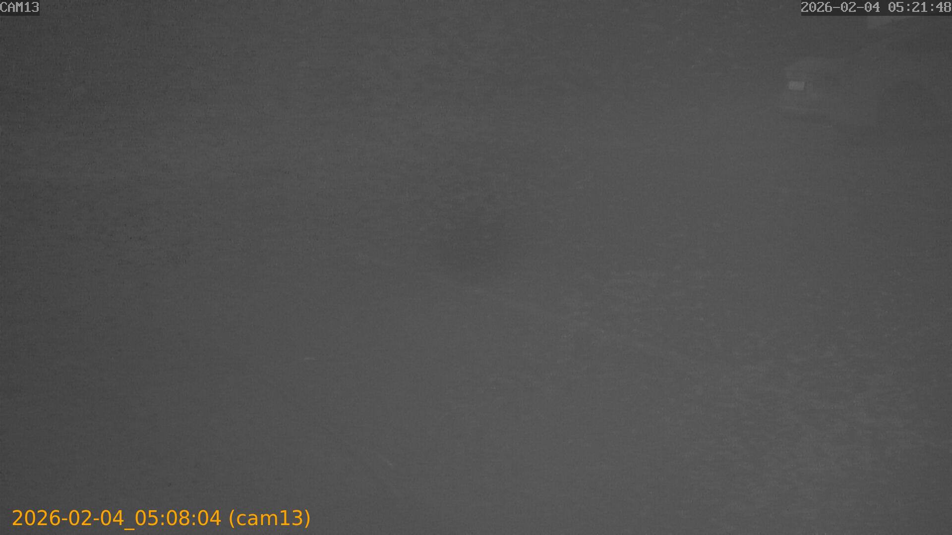 thumbnail_20260204050804