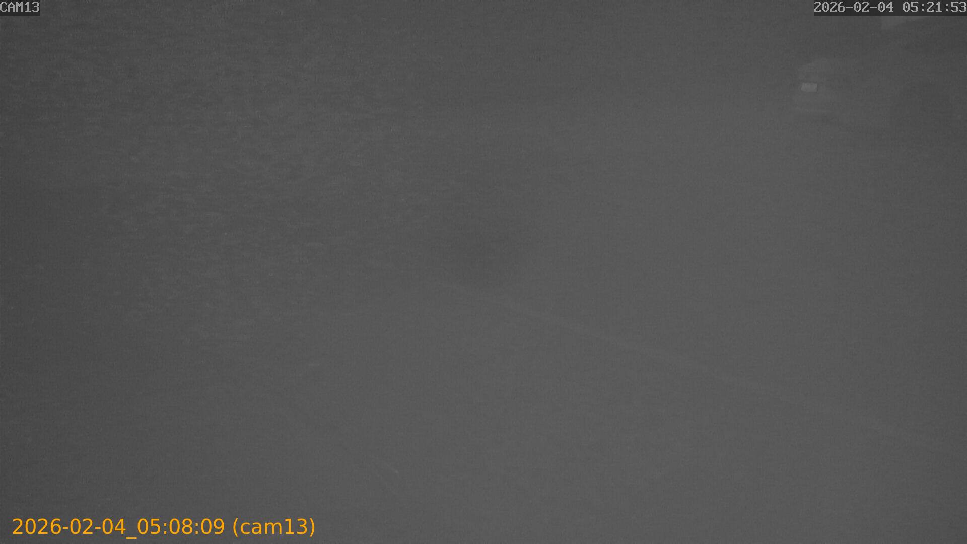 thumbnail_20260204050809