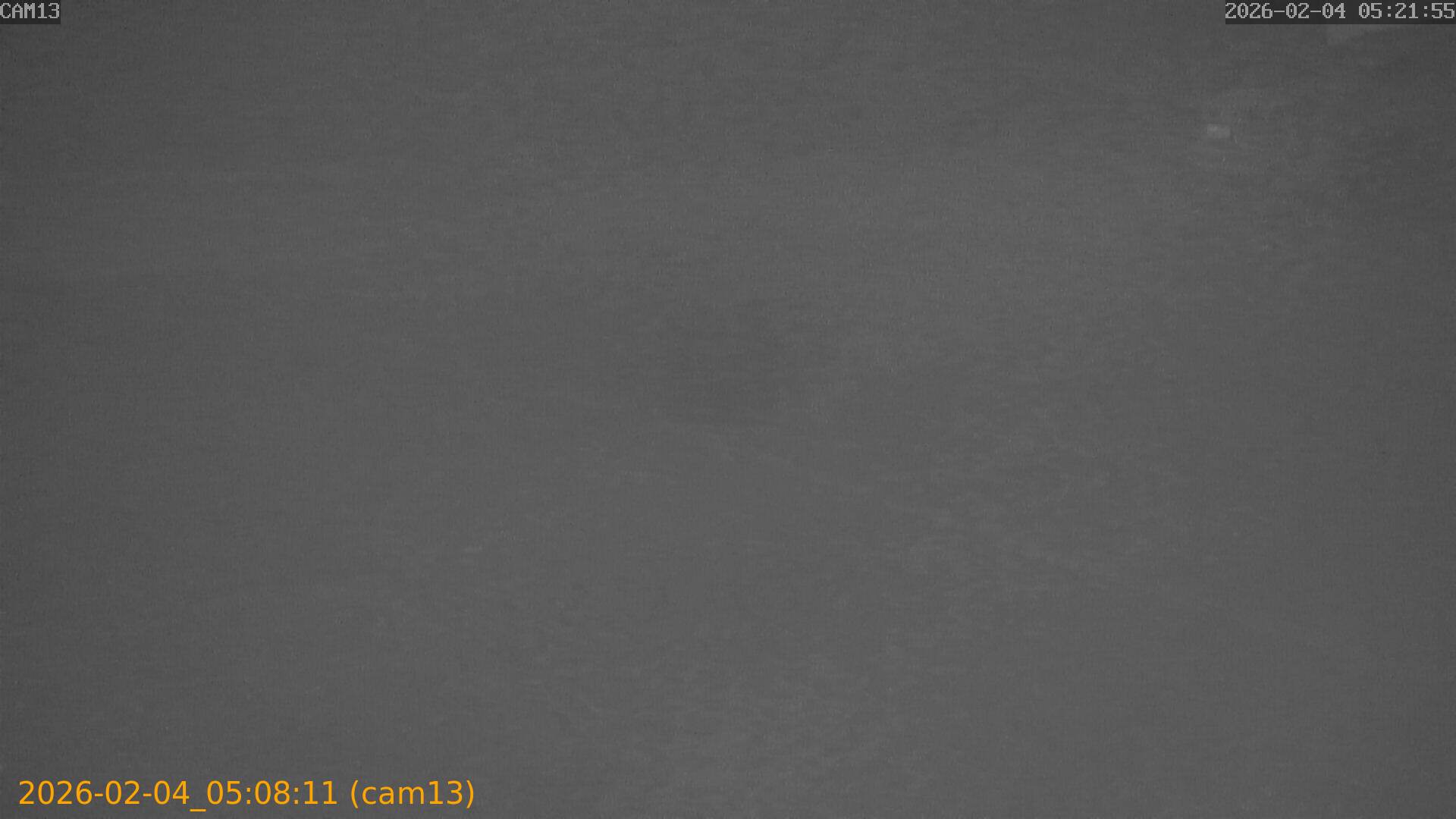 thumbnail_20260204050811