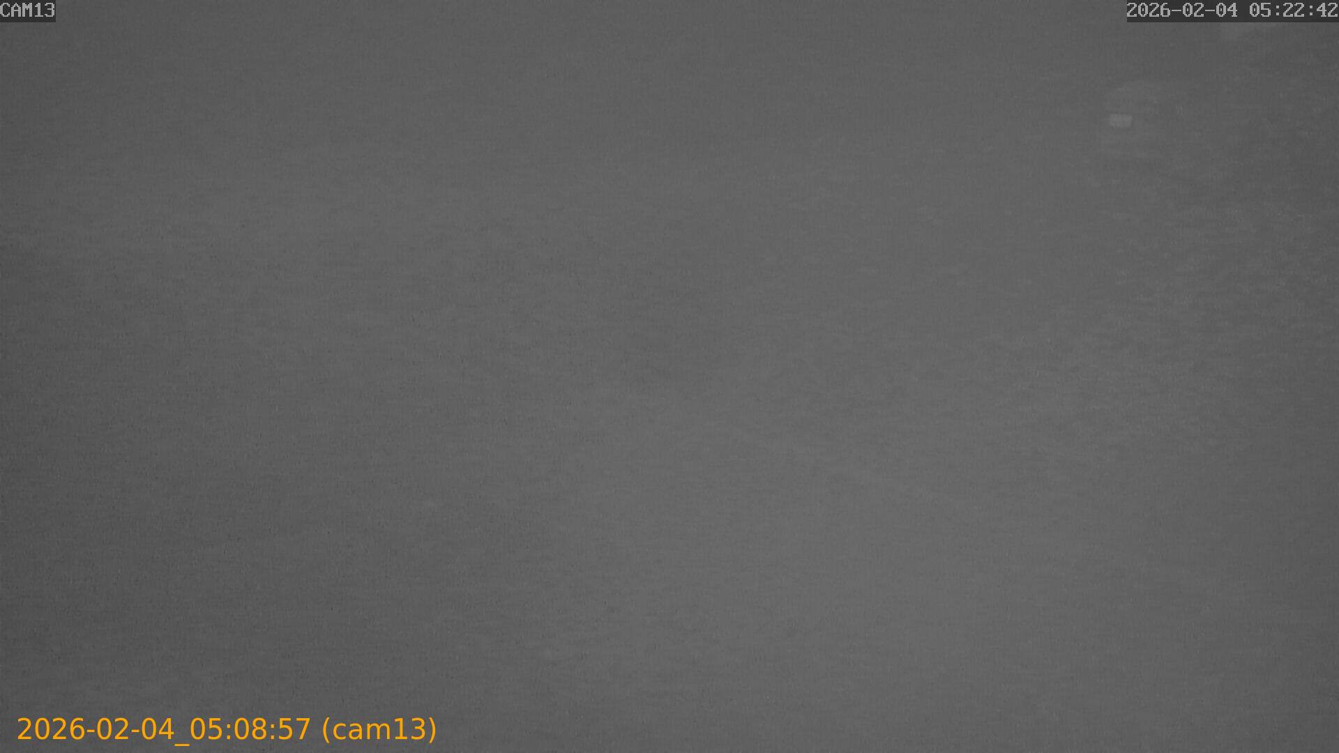 thumbnail_20260204050857