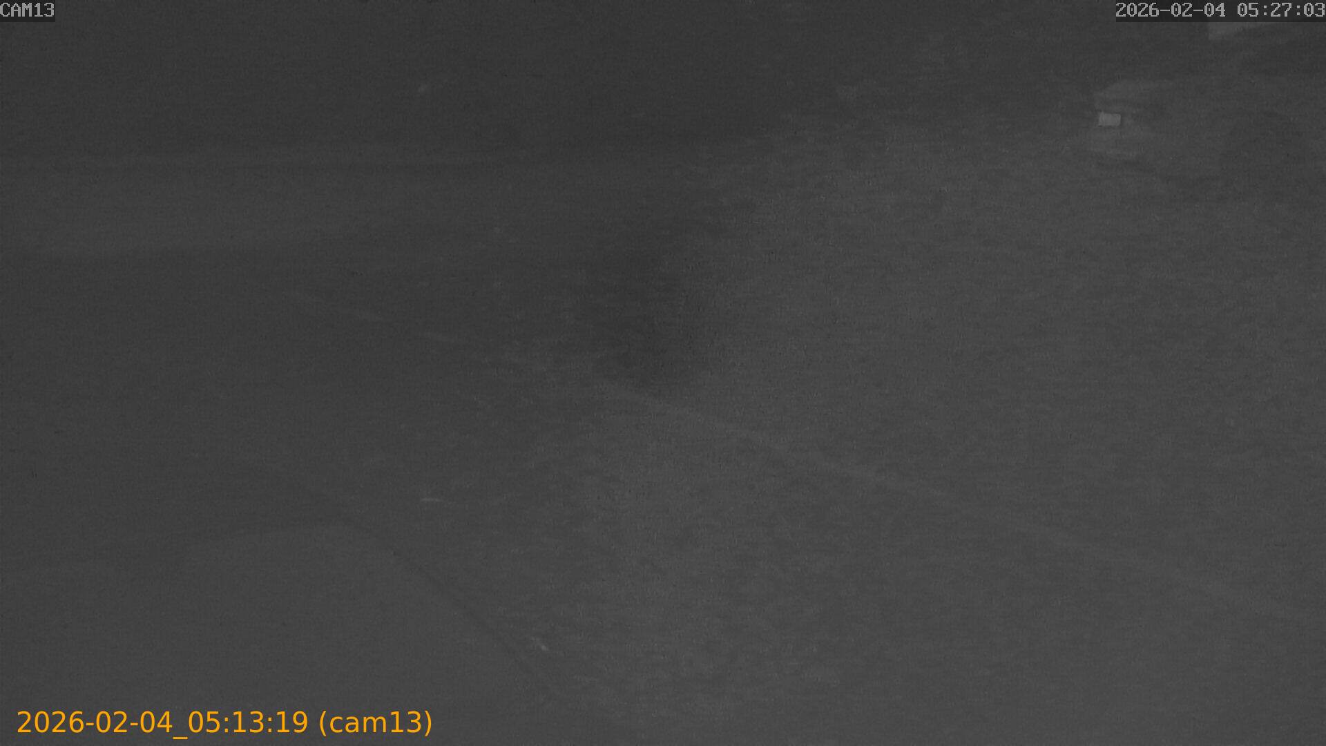 thumbnail_20260204051319