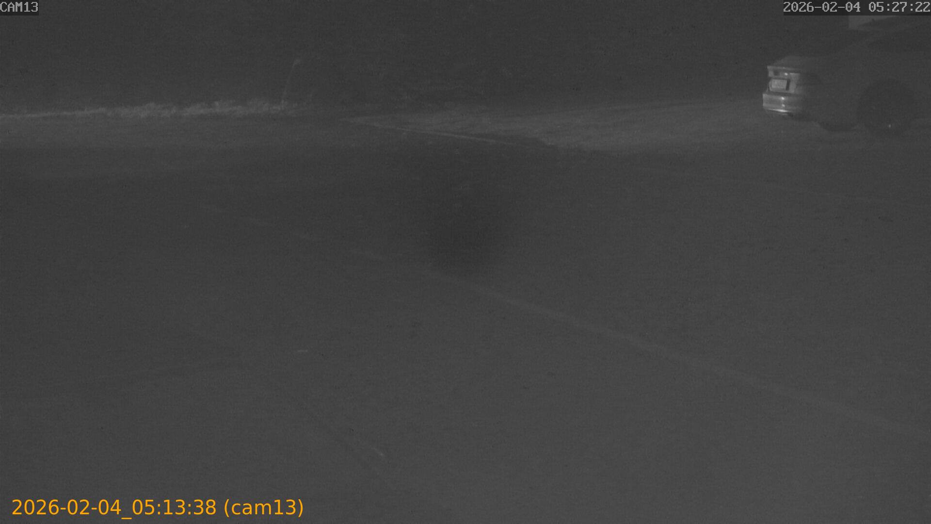 thumbnail_20260204051338