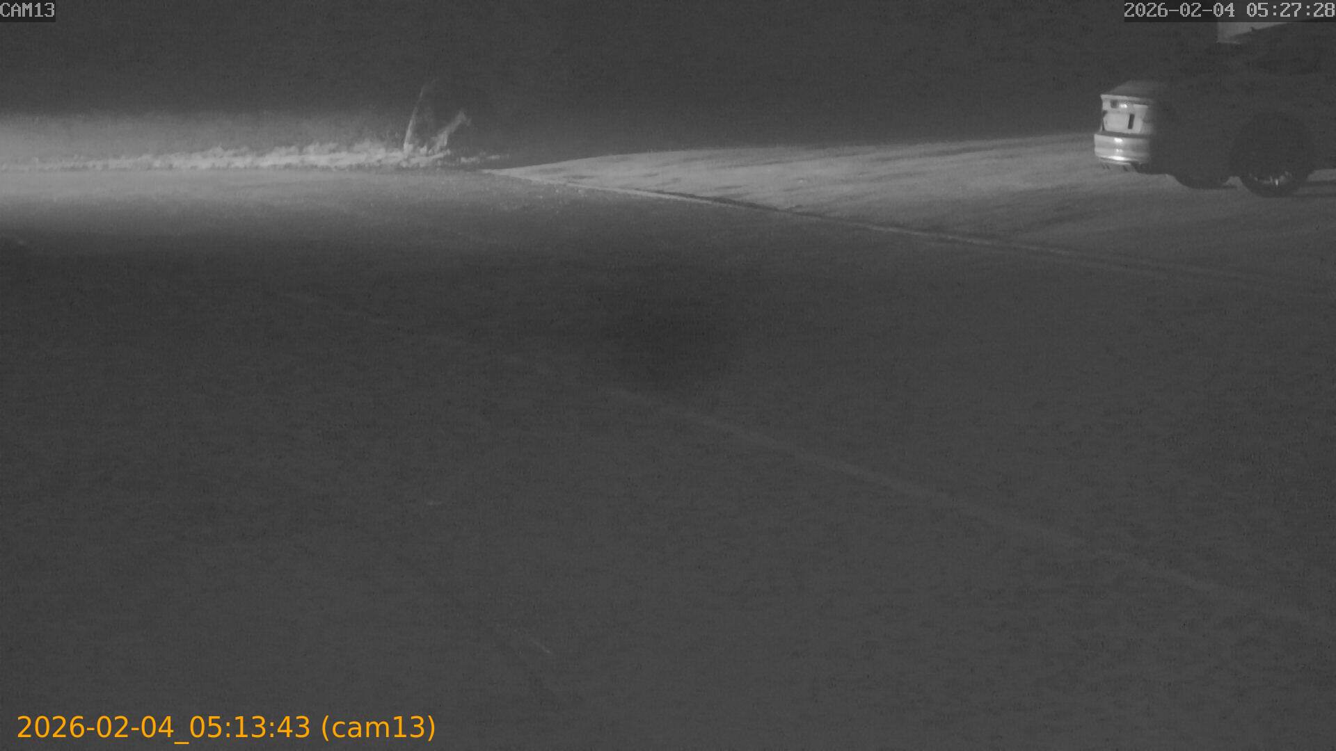 thumbnail_20260204051343