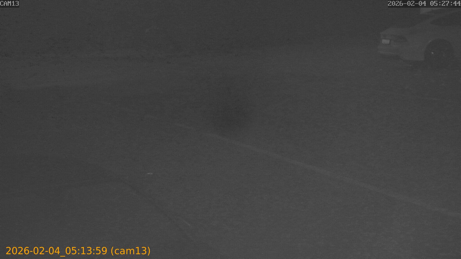 thumbnail_20260204051359