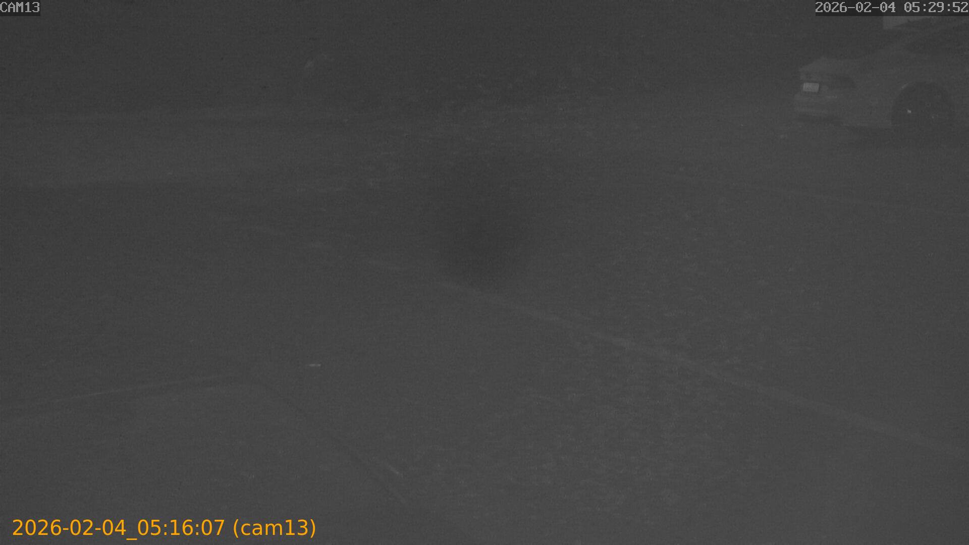 thumbnail_20260204051607