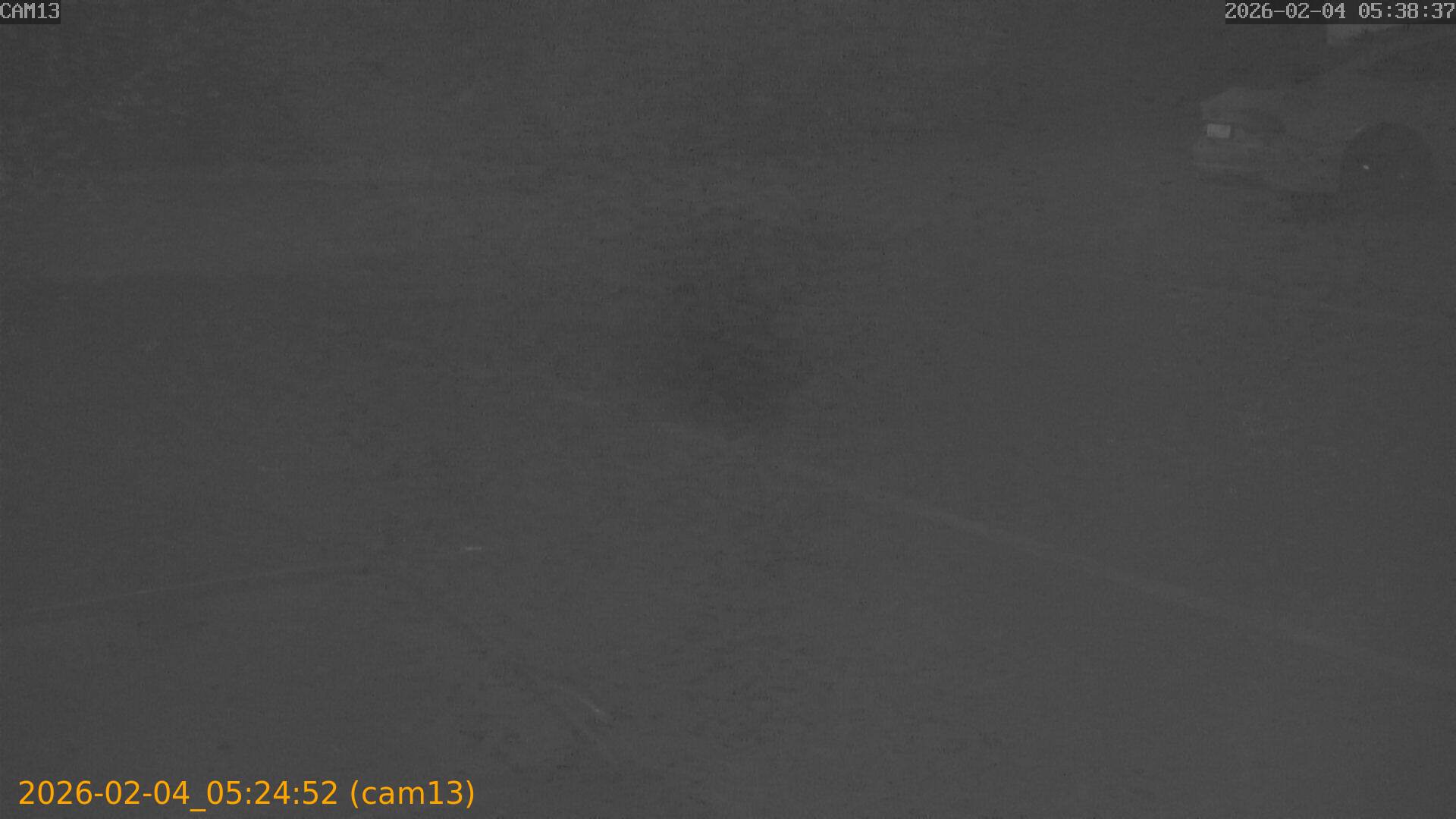 thumbnail_20260204052452