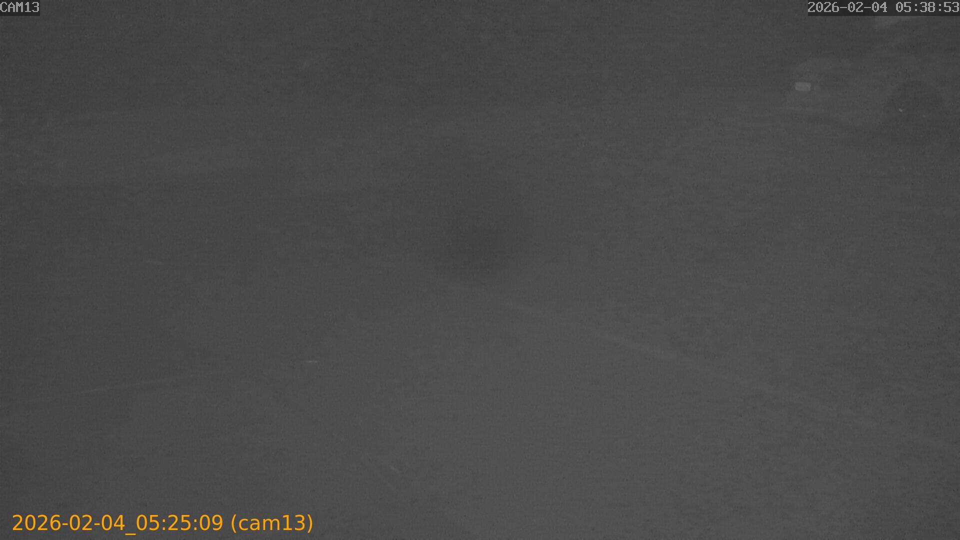 thumbnail_20260204052509