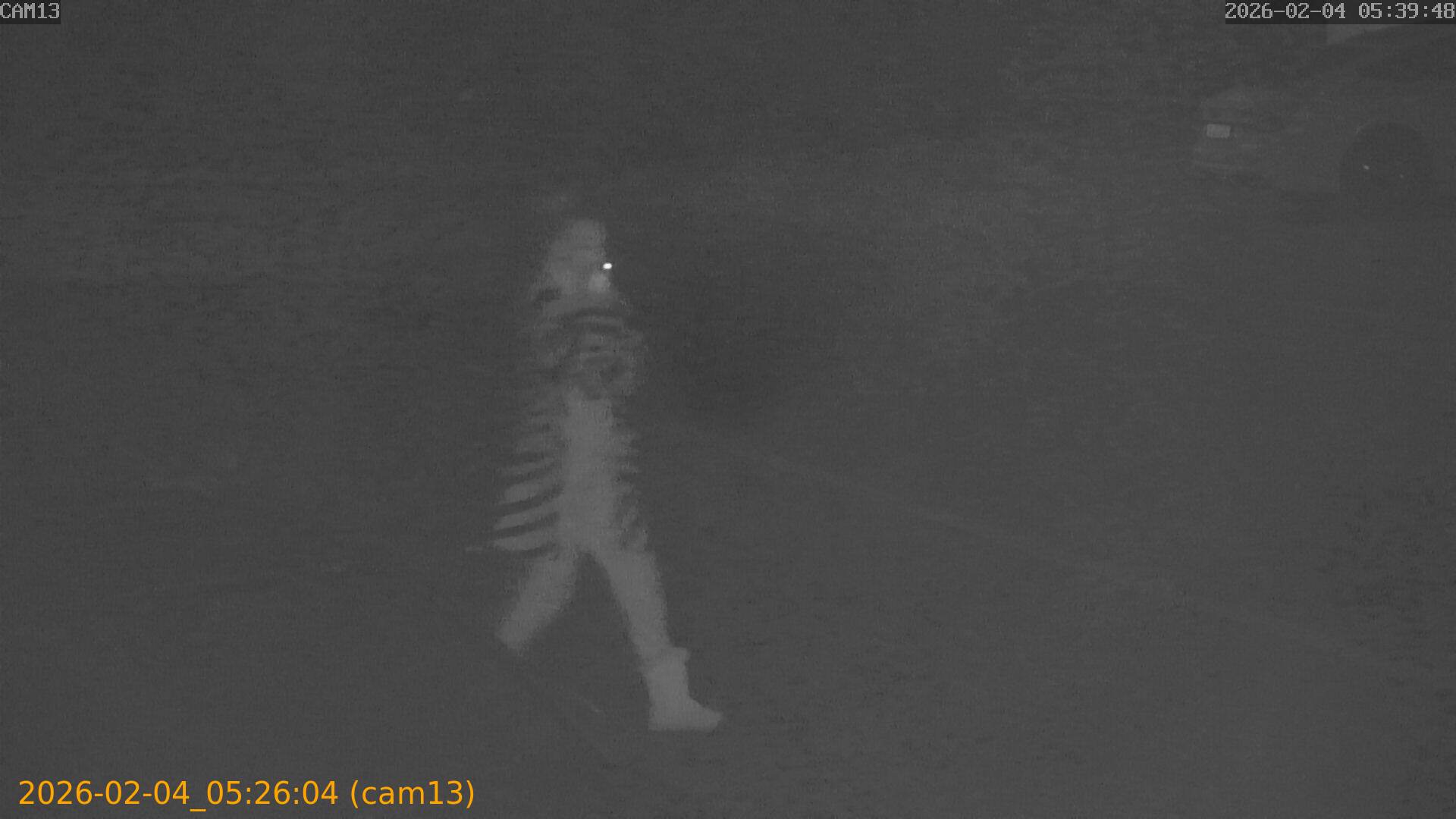 thumbnail_20260204052604