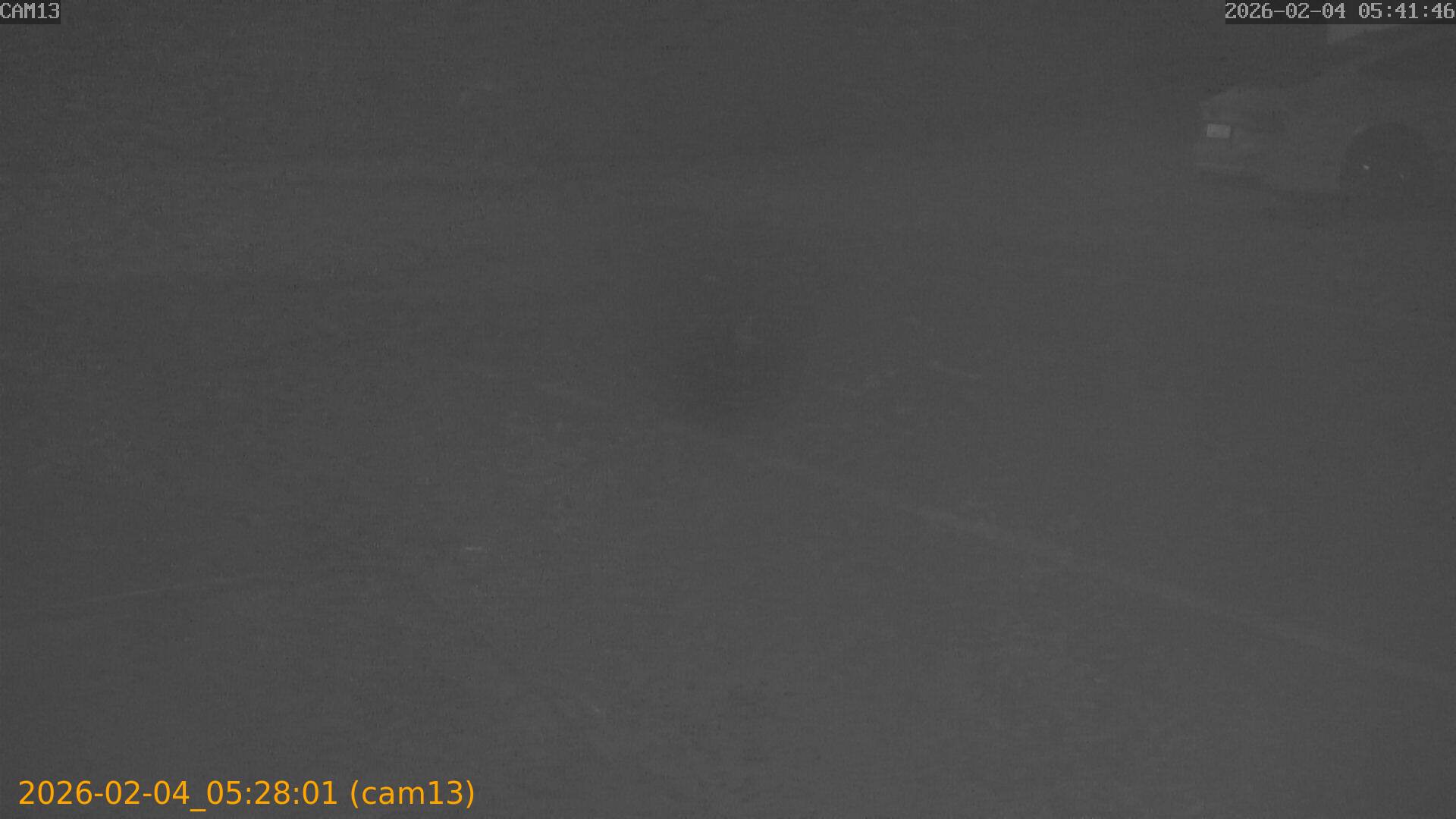 thumbnail_20260204052801