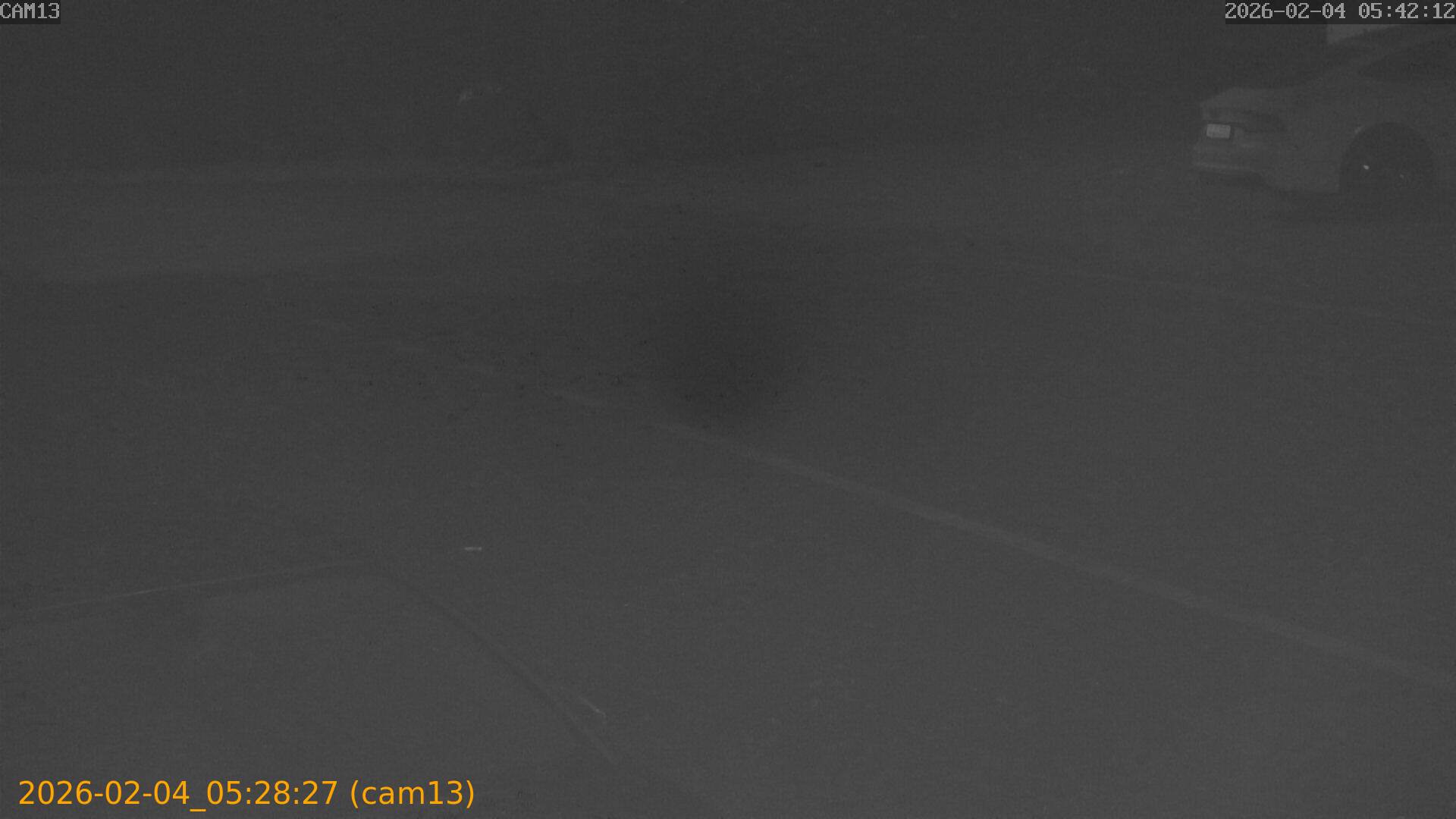 thumbnail_20260204052827