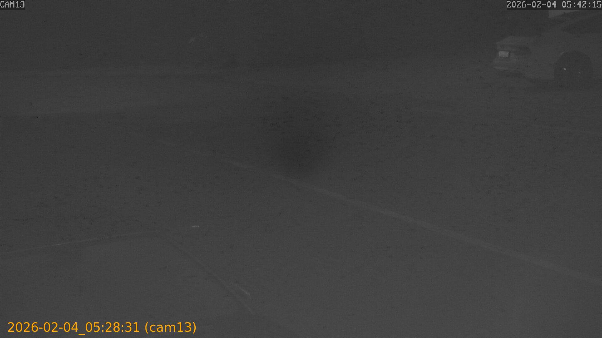 thumbnail_20260204052831