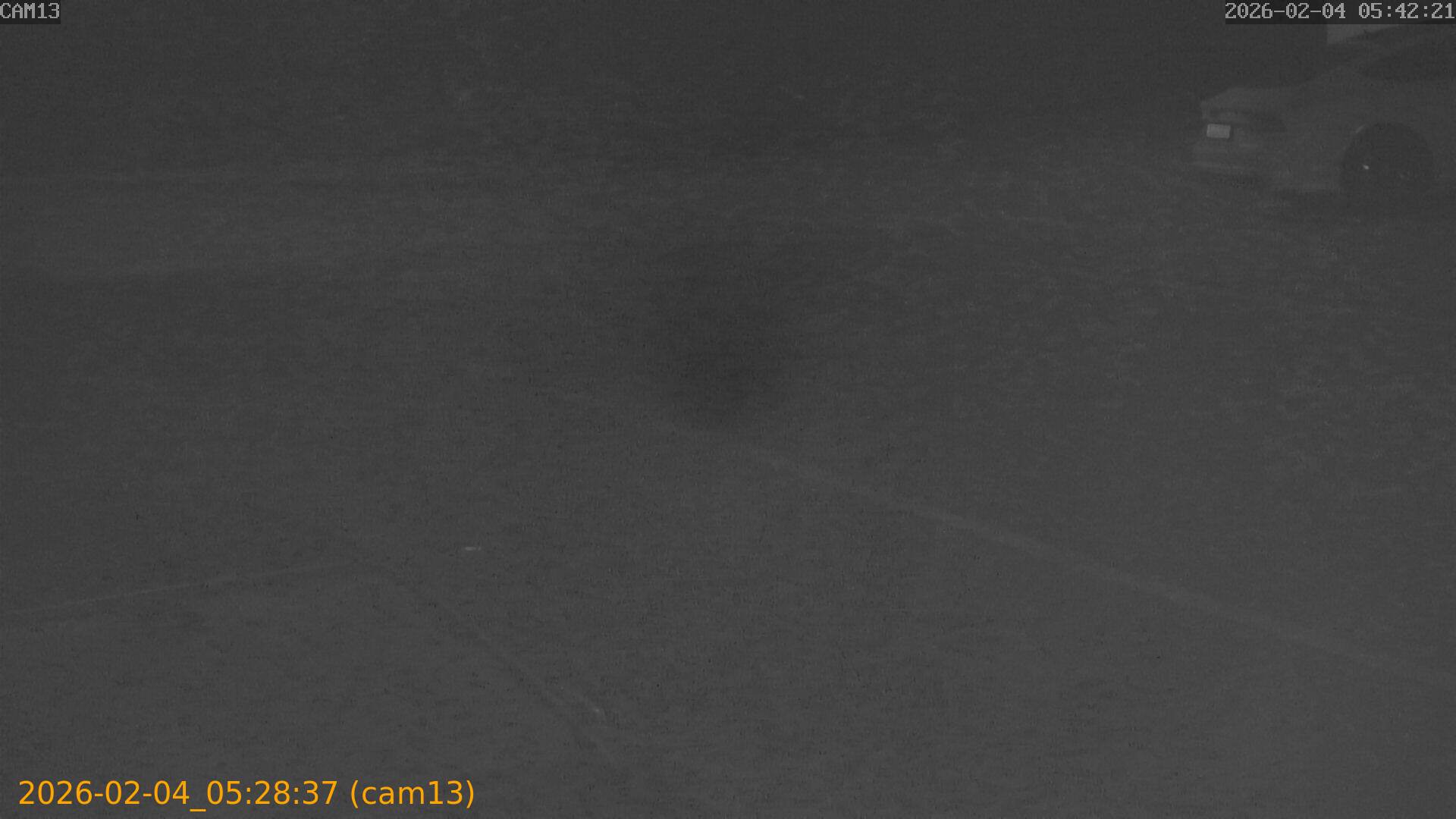 thumbnail_20260204052837