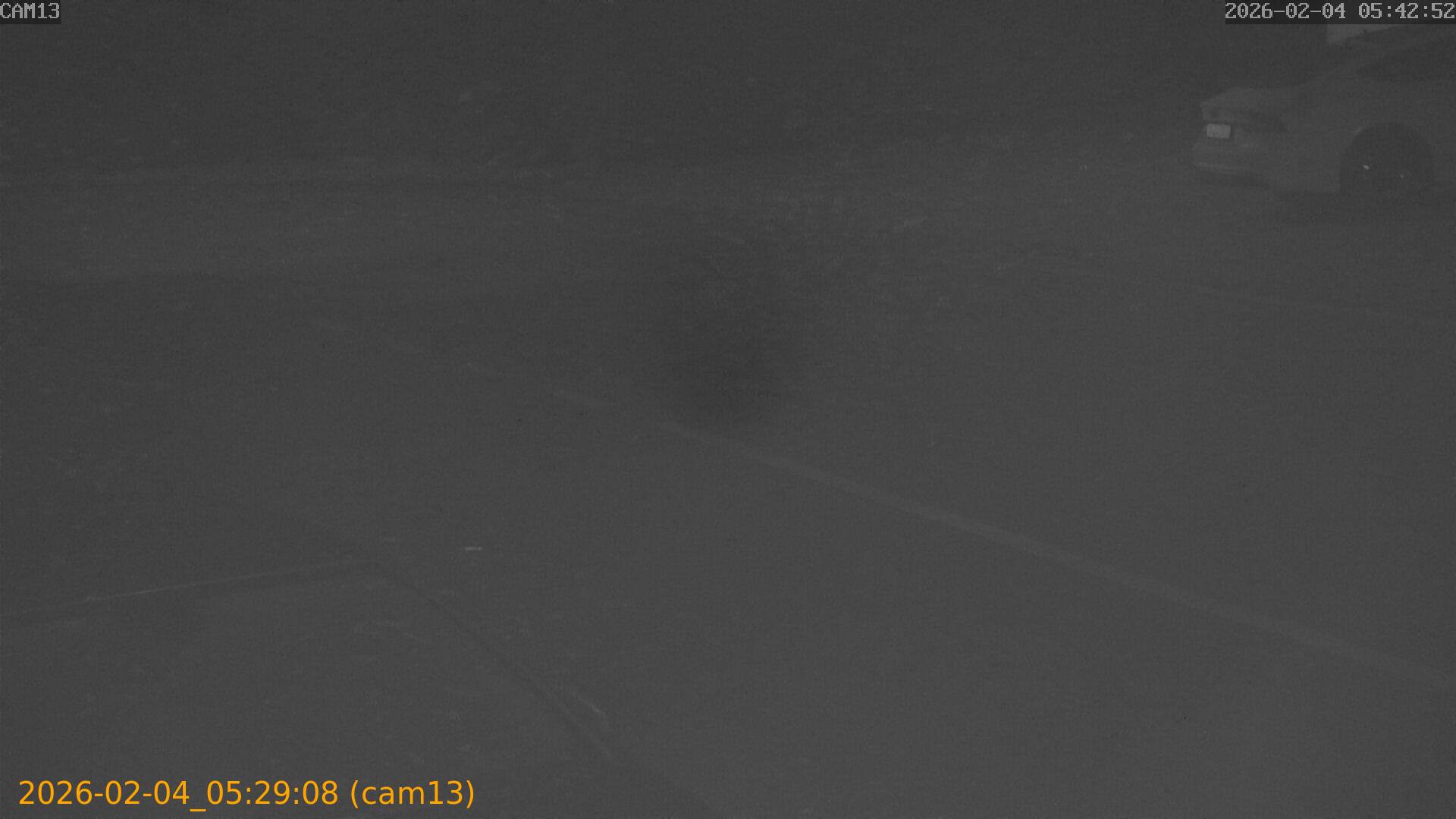 thumbnail_20260204052908