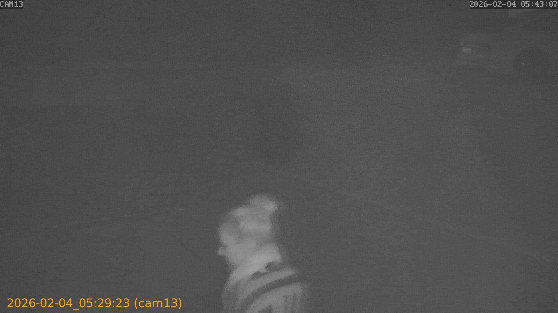 thumbnail_20260204052923