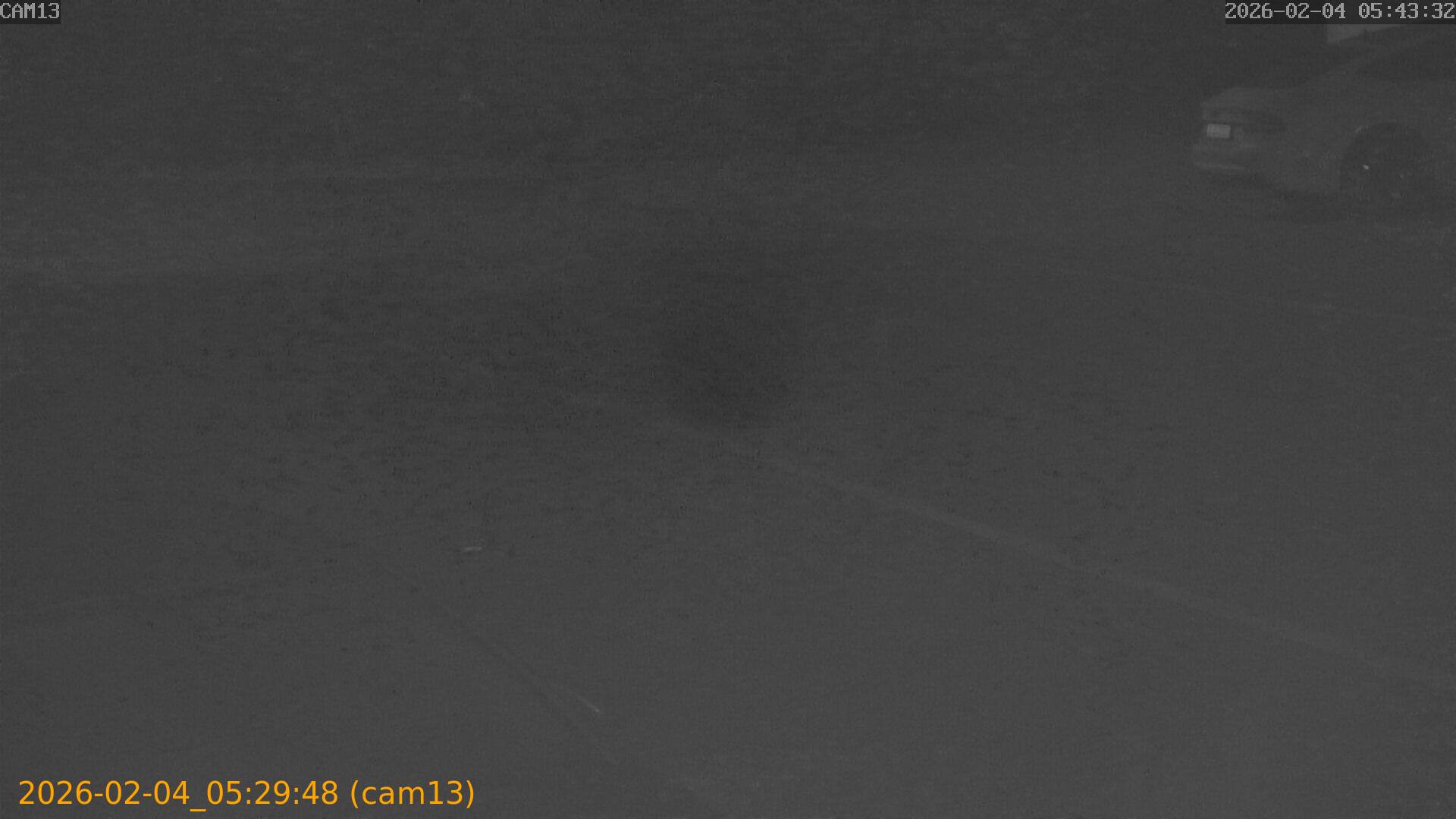 thumbnail_20260204052948