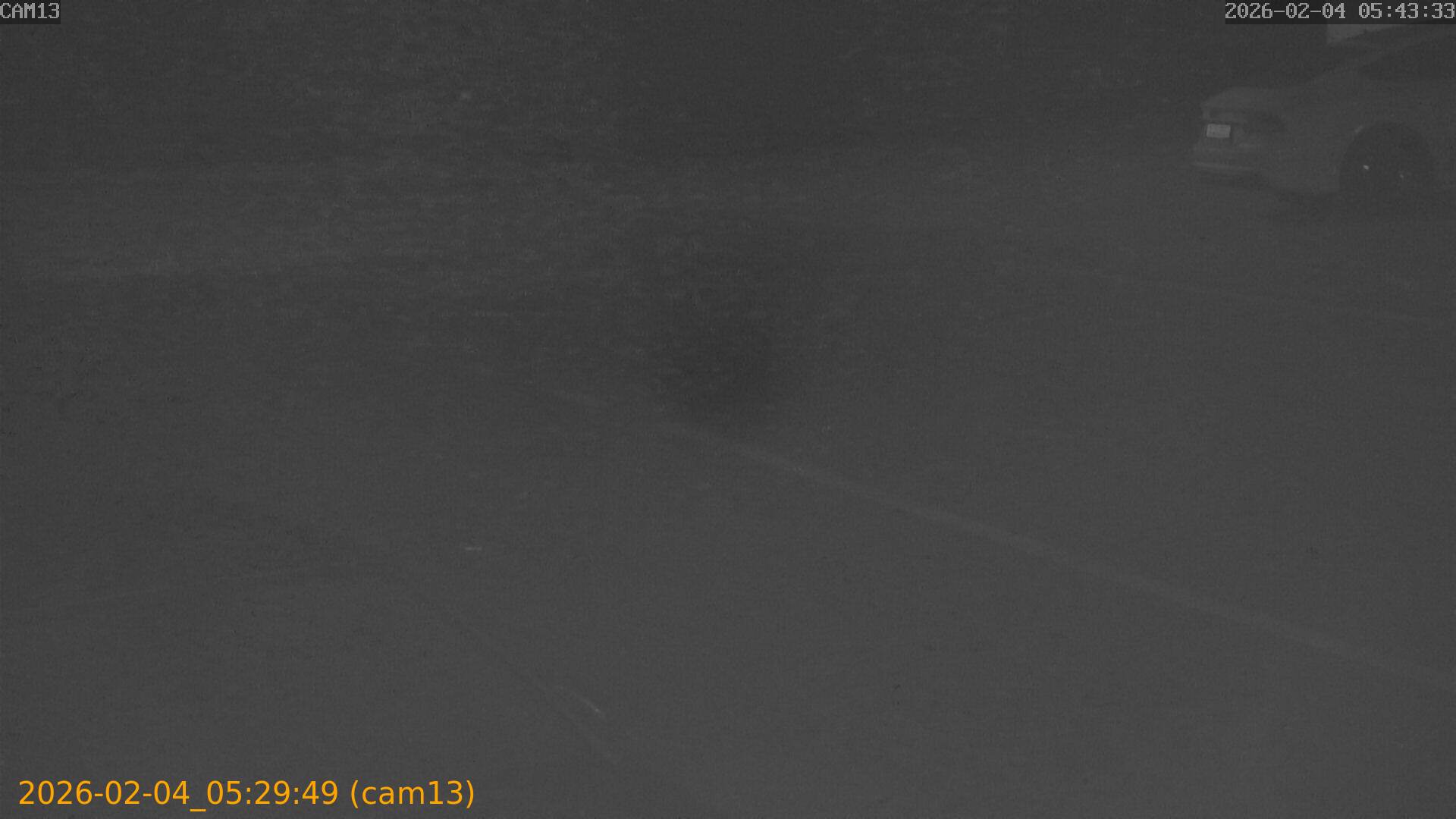 thumbnail_20260204052949