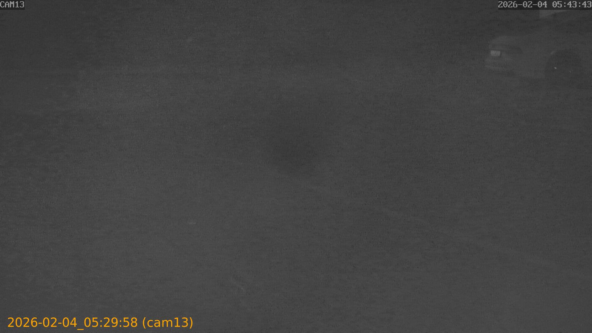 thumbnail_20260204052958