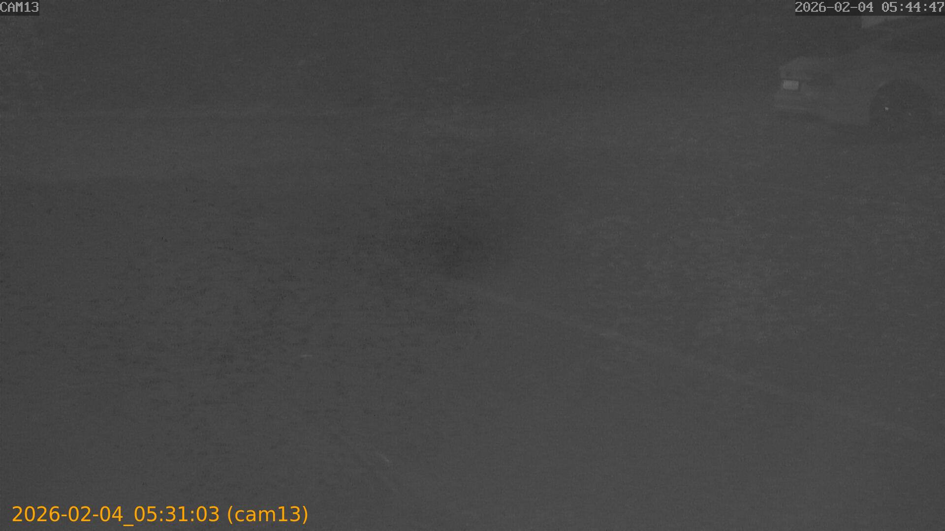 thumbnail_20260204053103