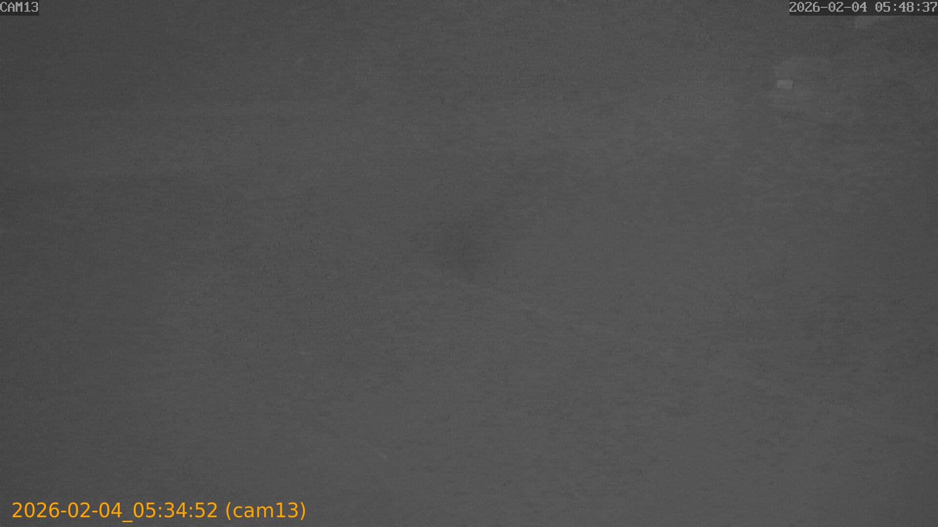 thumbnail_20260204053452