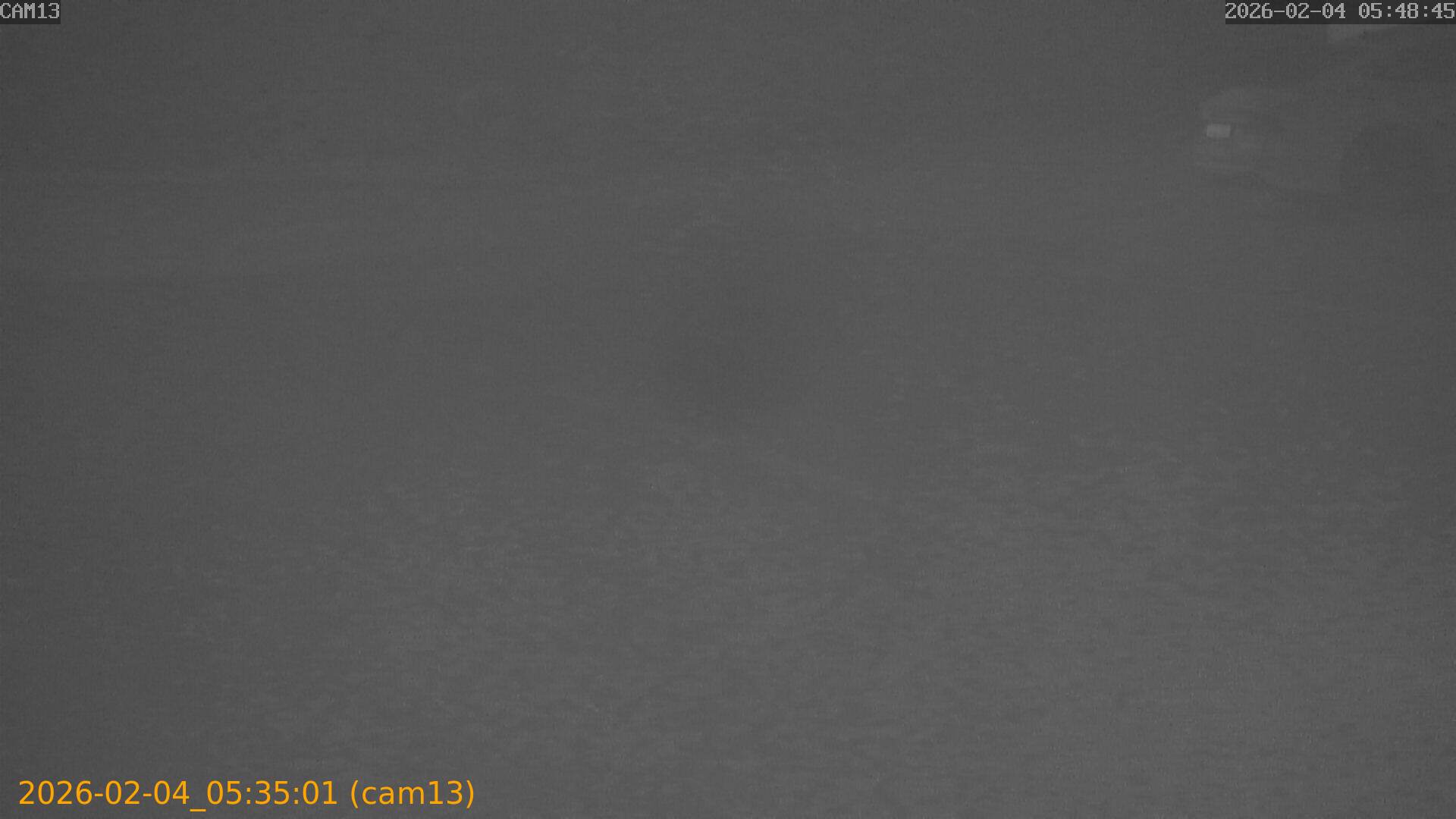 thumbnail_20260204053501