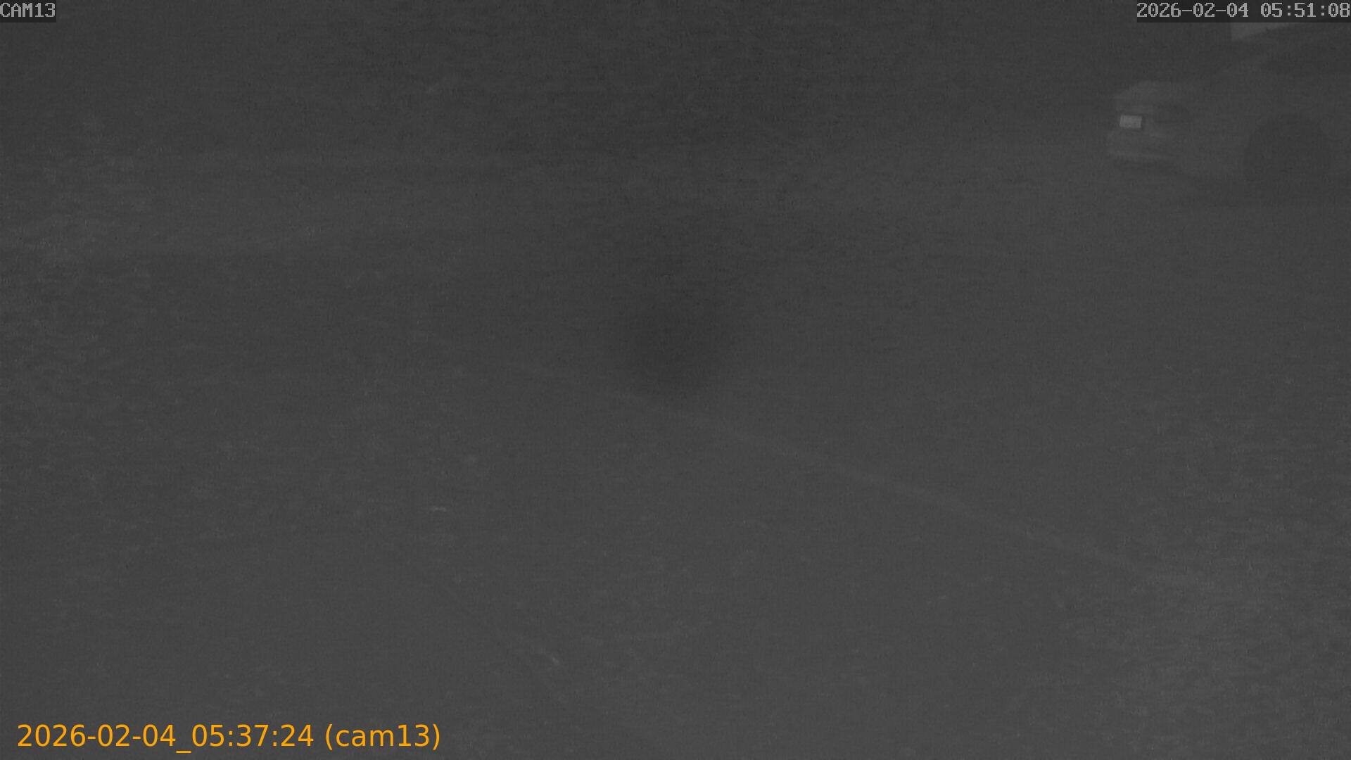 thumbnail_20260204053724