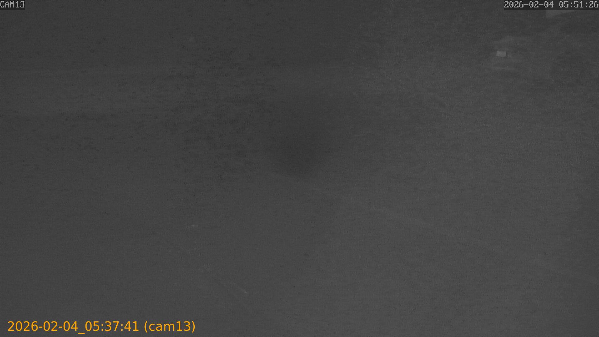 thumbnail_20260204053741