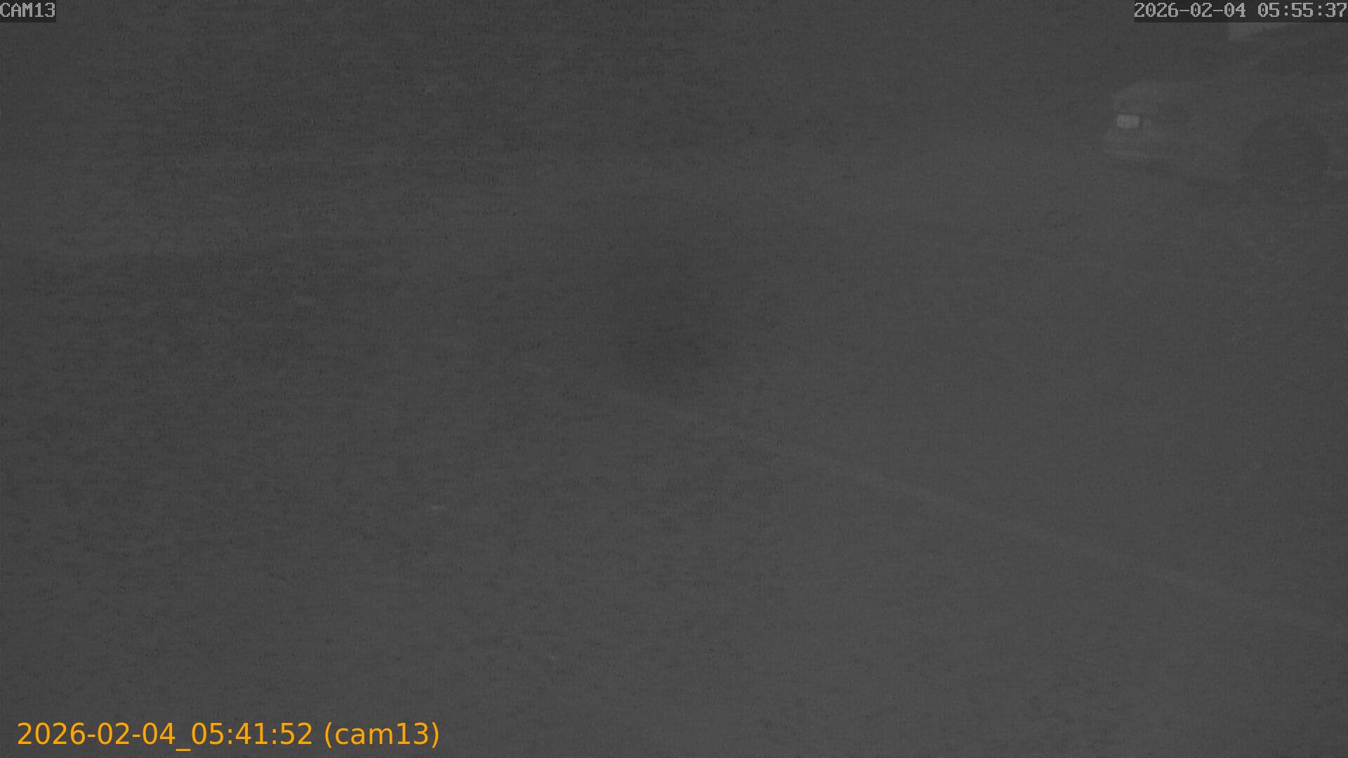 thumbnail_20260204054152