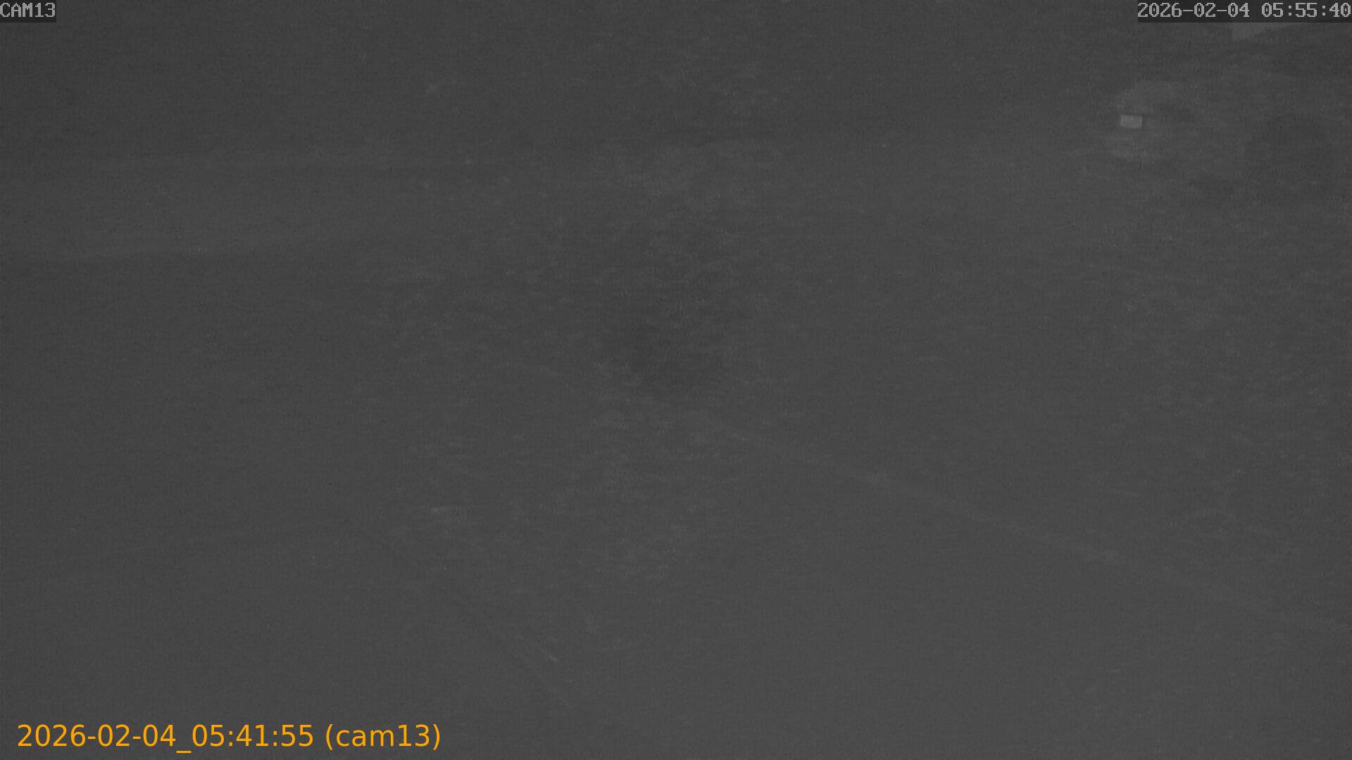 thumbnail_20260204054155