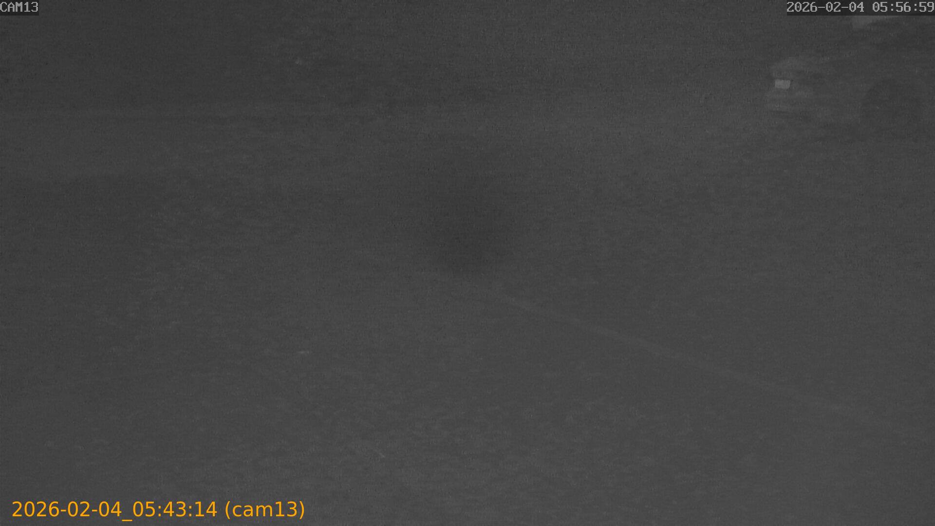 thumbnail_20260204054314