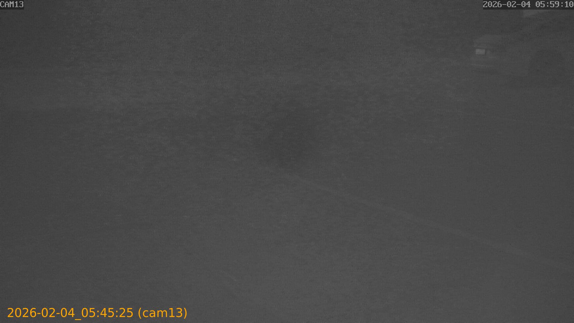 thumbnail_20260204054525