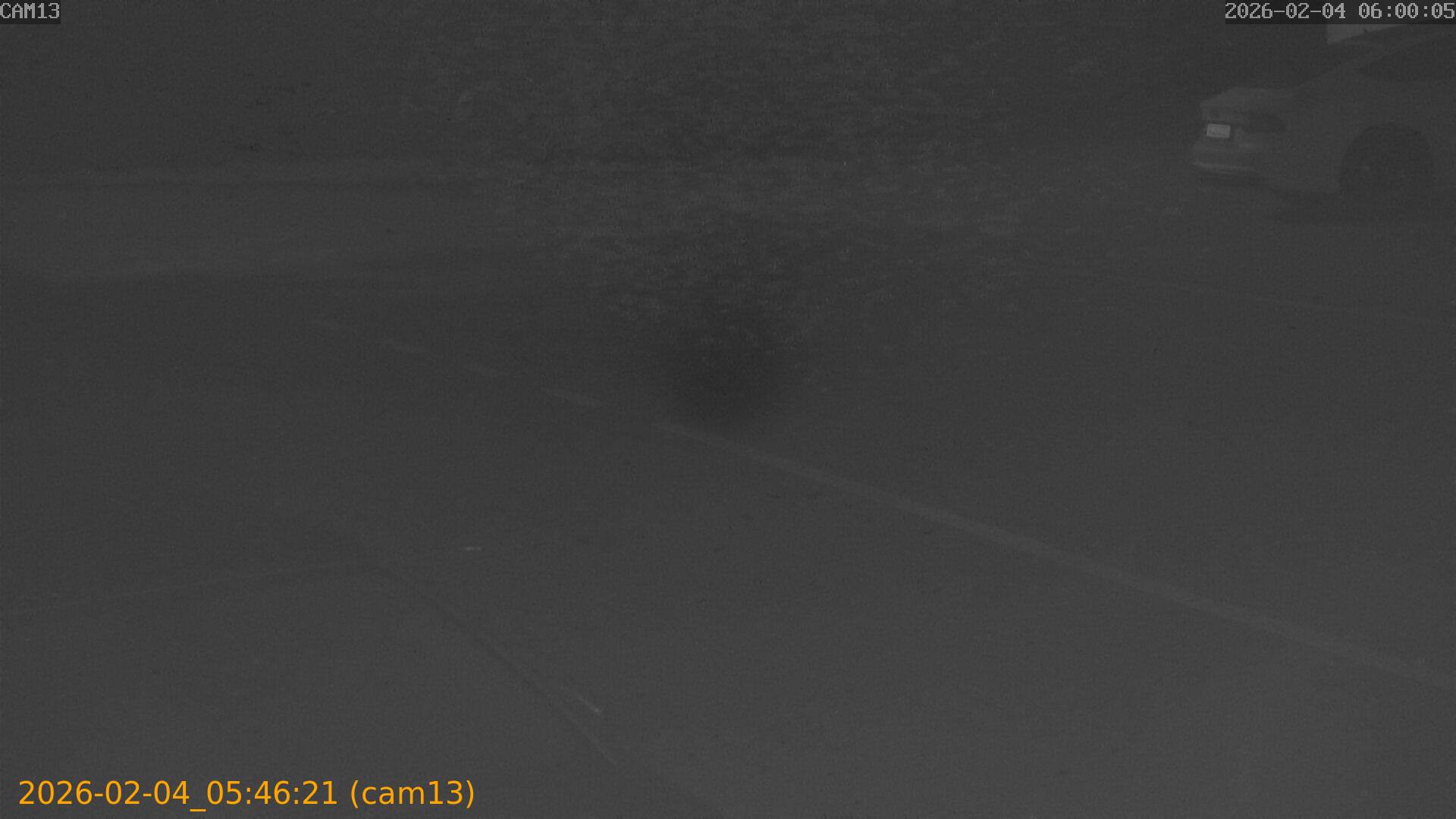 thumbnail_20260204054621