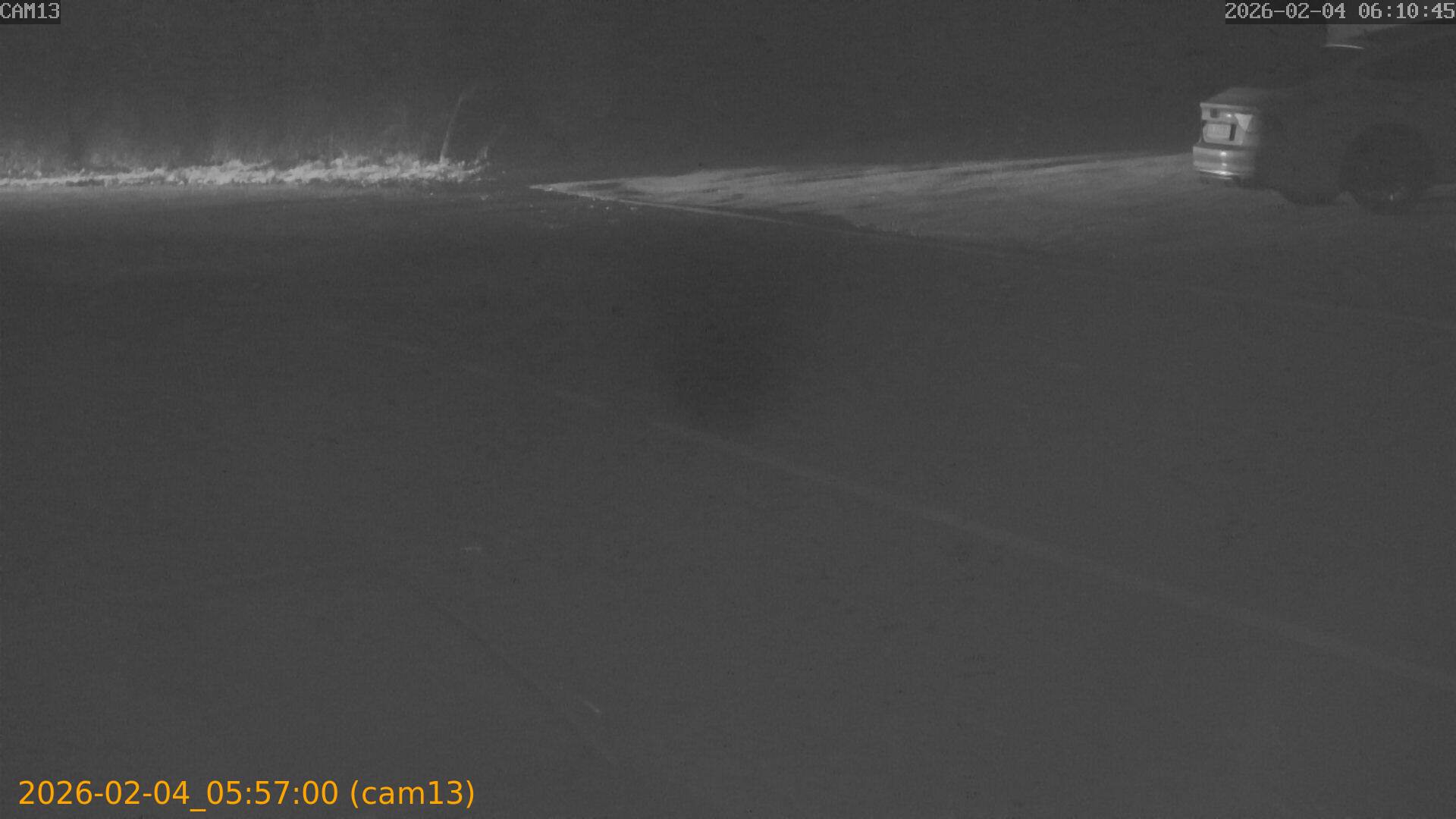 thumbnail_20260204055700