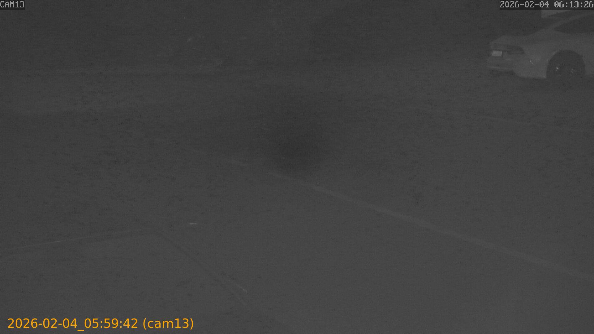 thumbnail_20260204055942