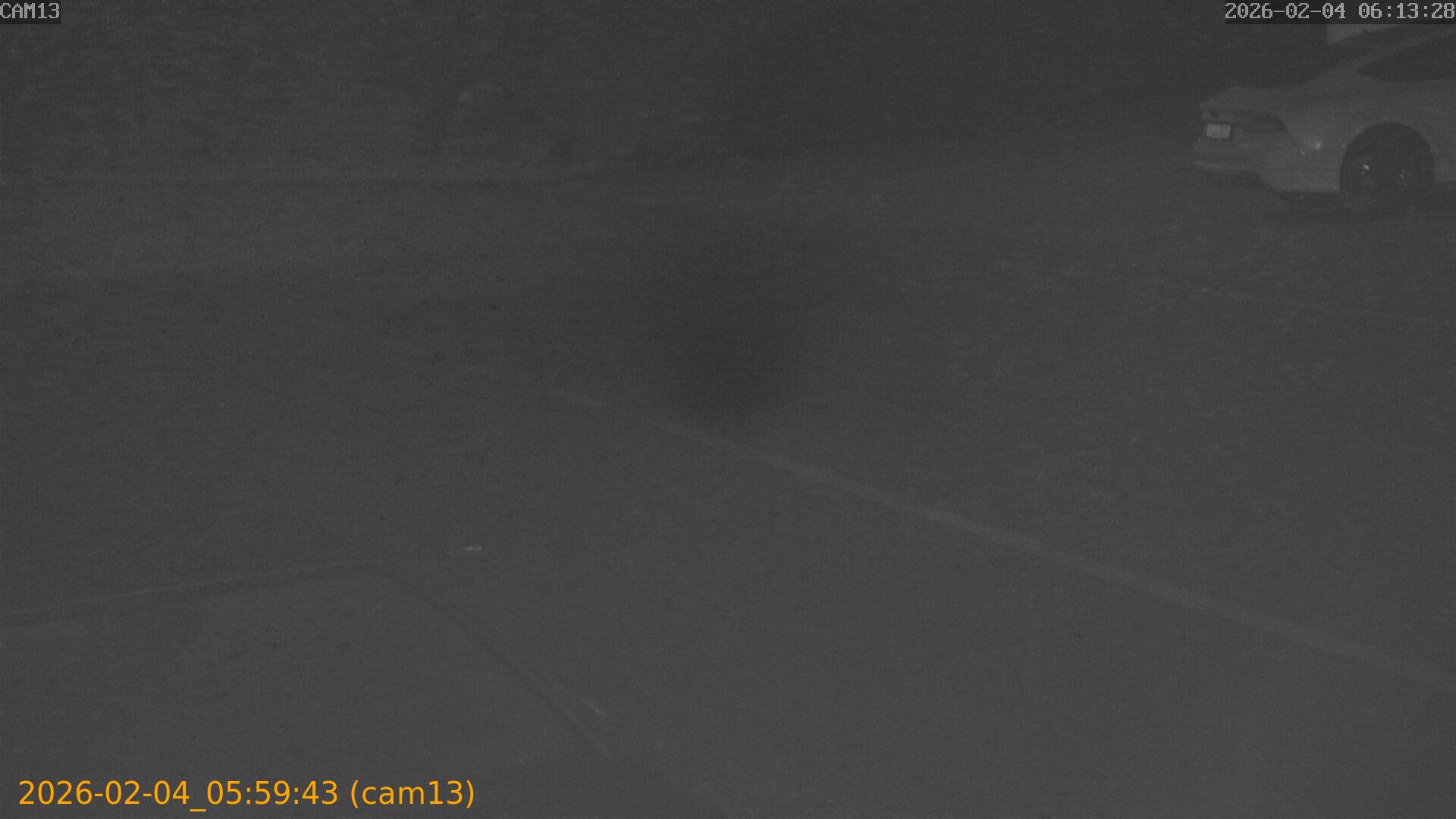 thumbnail_20260204055943