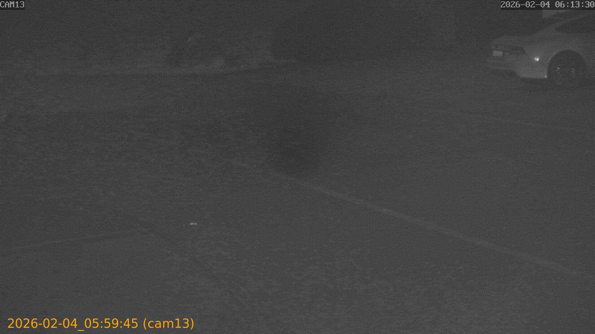 thumbnail_20260204055945