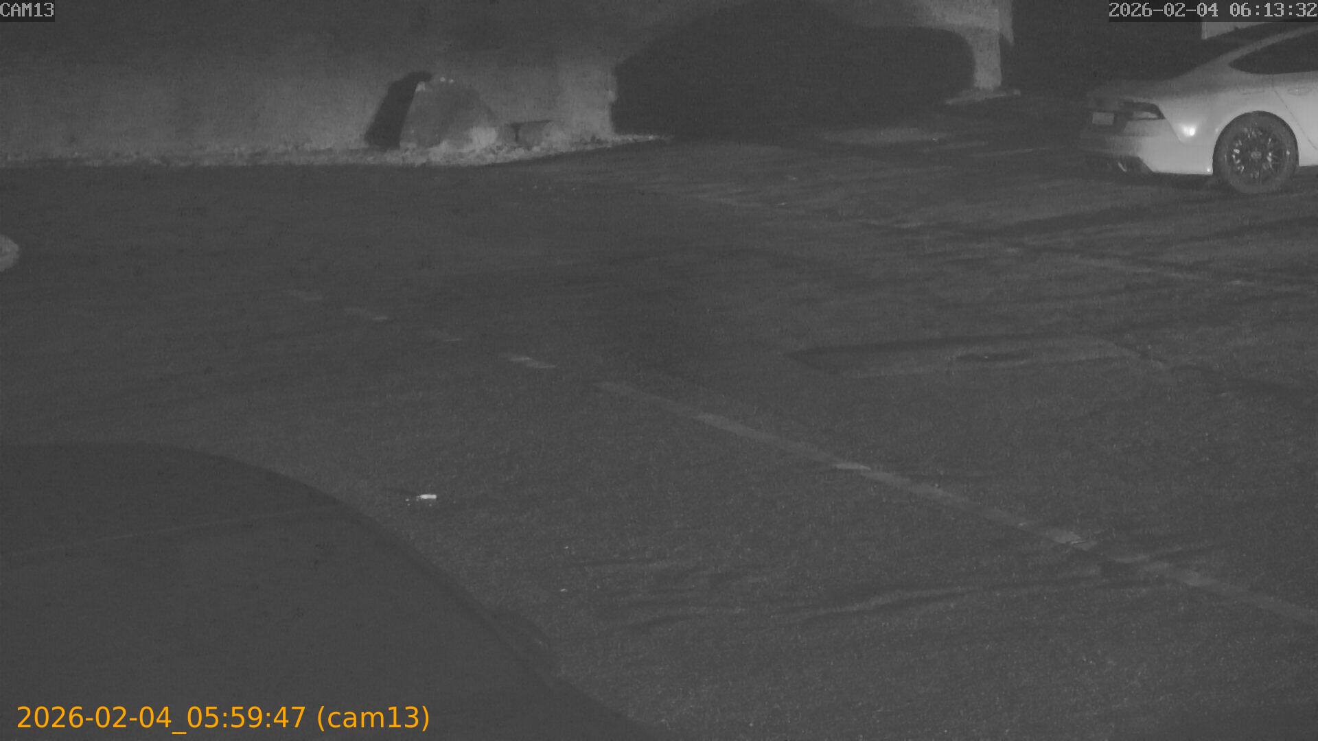 thumbnail_20260204055947