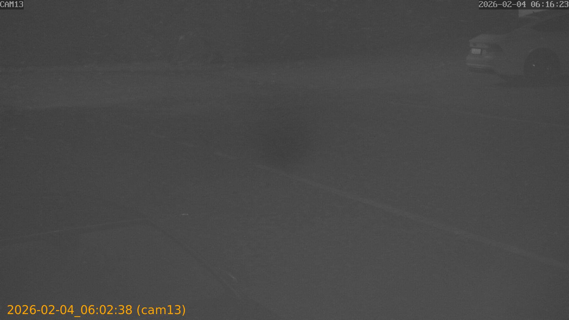 thumbnail_20260204060238